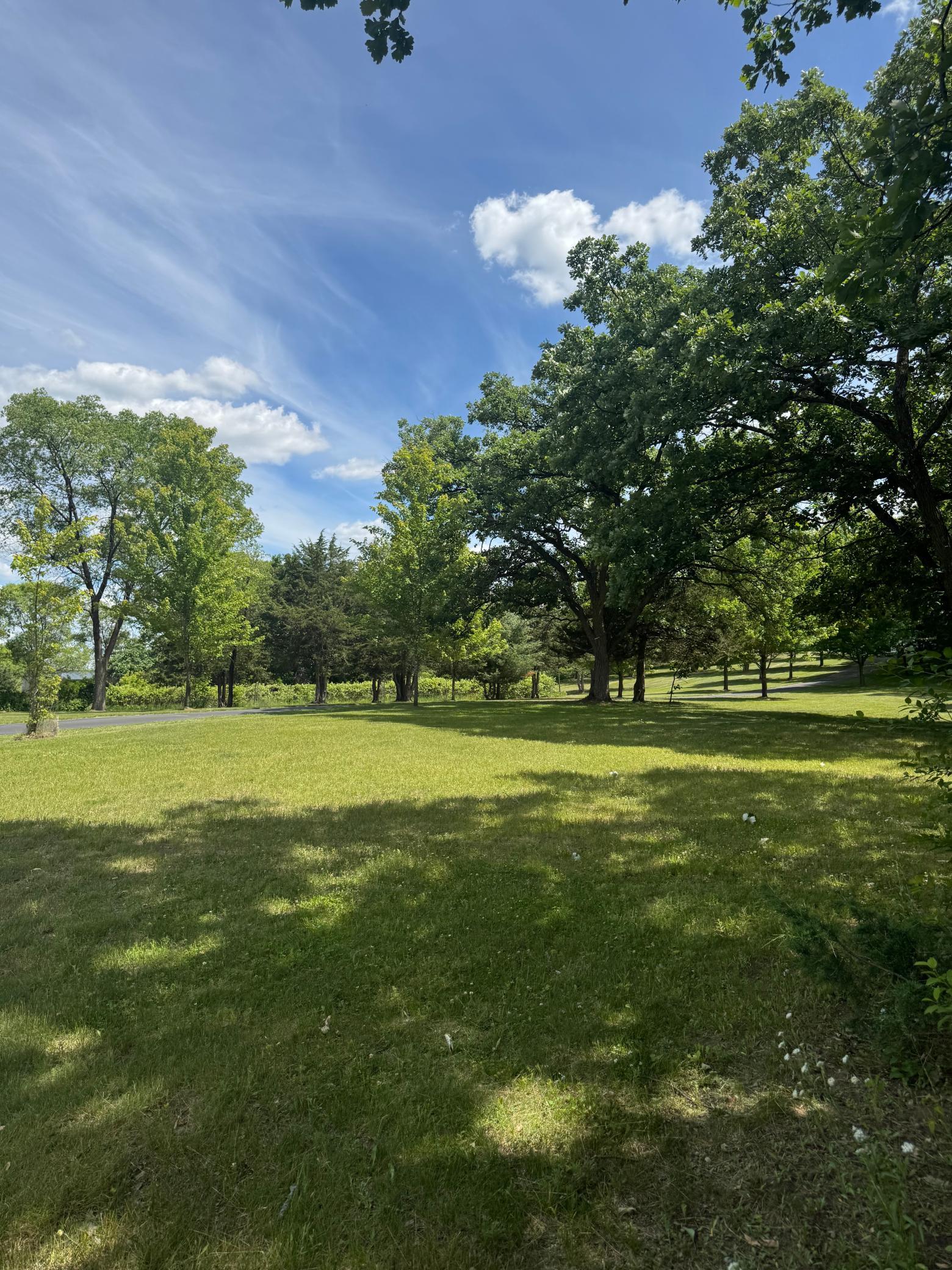 View of Residential at 1711 54th Street, Saint Cloud MN 56304, Saint Cloud (7 of 43) - Mike Wilen | Minnesota Team Real Estate