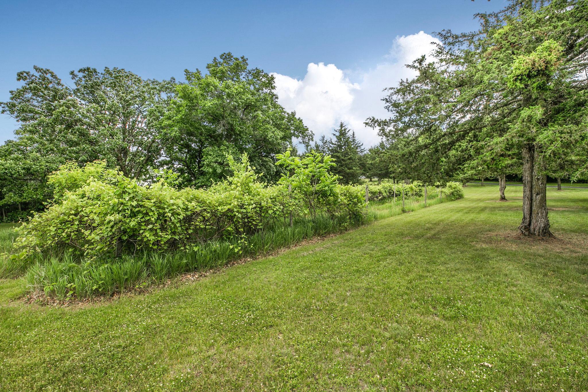 View of Residential at 1711 54th Street, Saint Cloud MN 56304, Saint Cloud (38 of 43) - Mike Wilen | Minnesota Team Real Estate
