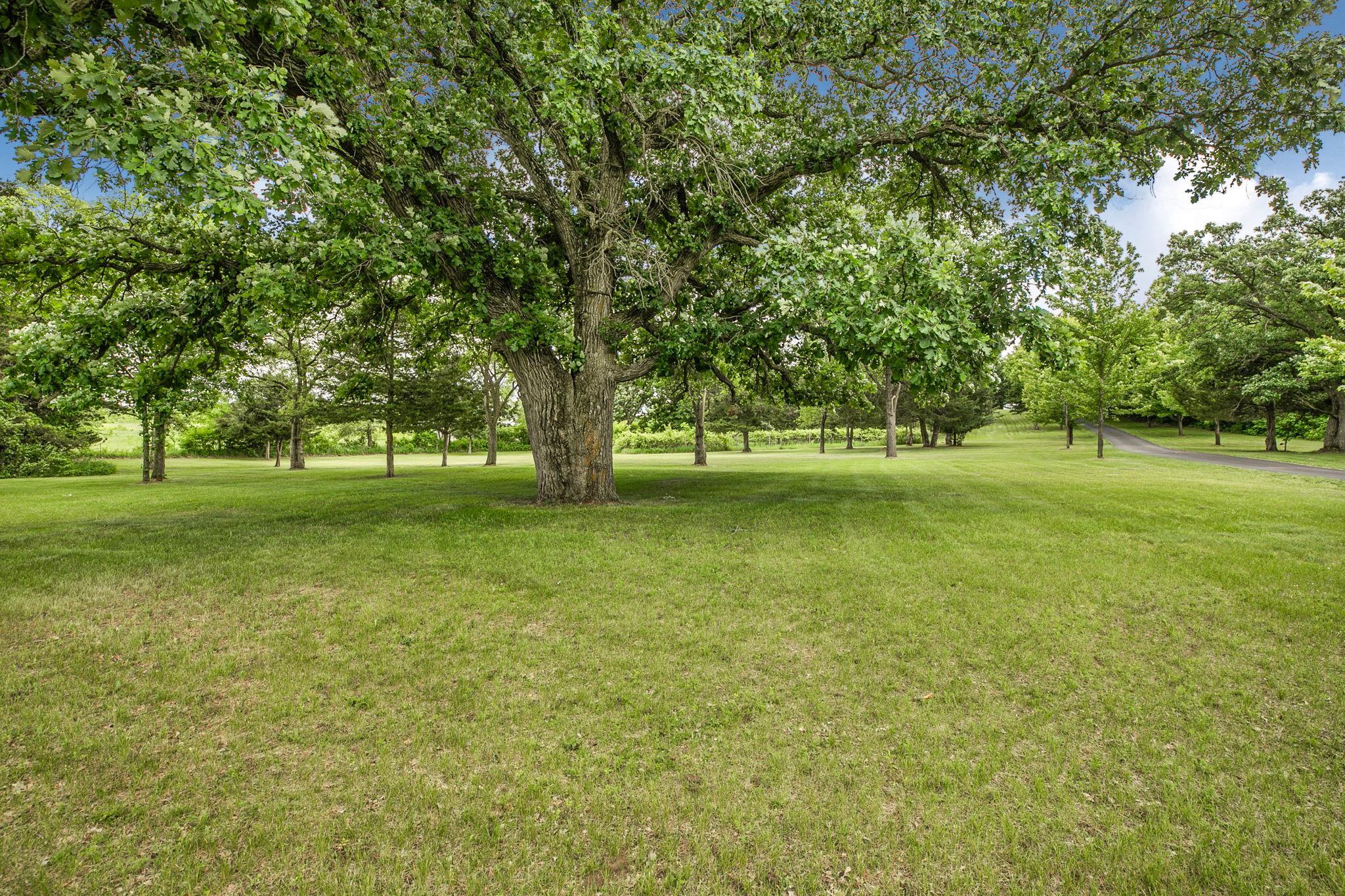 View of Residential at 1711 54th Street, Saint Cloud MN 56304, Saint Cloud (37 of 43) - Mike Wilen | Minnesota Team Real Estate
