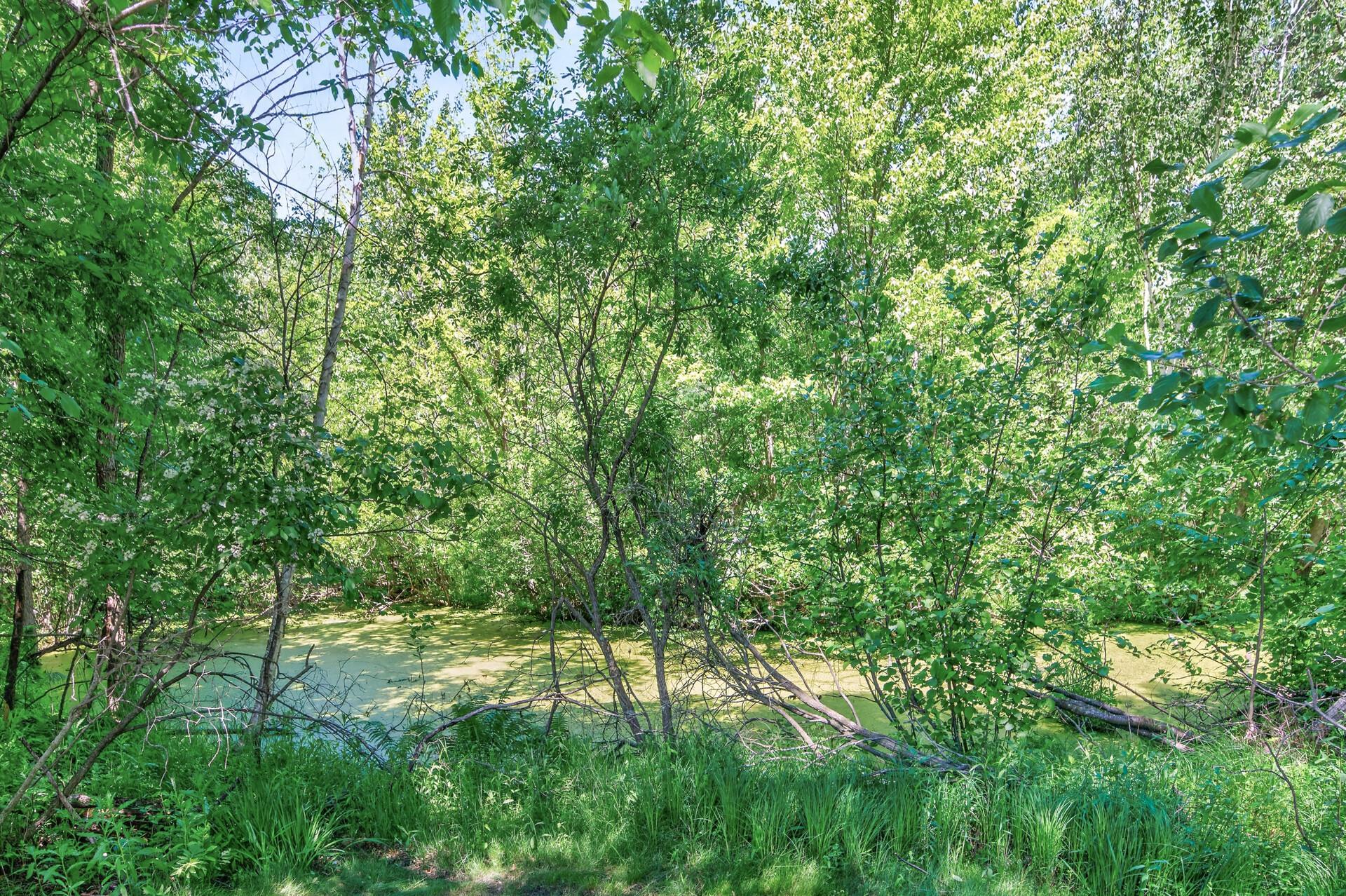 View of Residential at 22617 Washington Court, East Bethel MN 55011, East Bethel (50 of 50) - Mike Wilen | Minnesota Team Real Estate