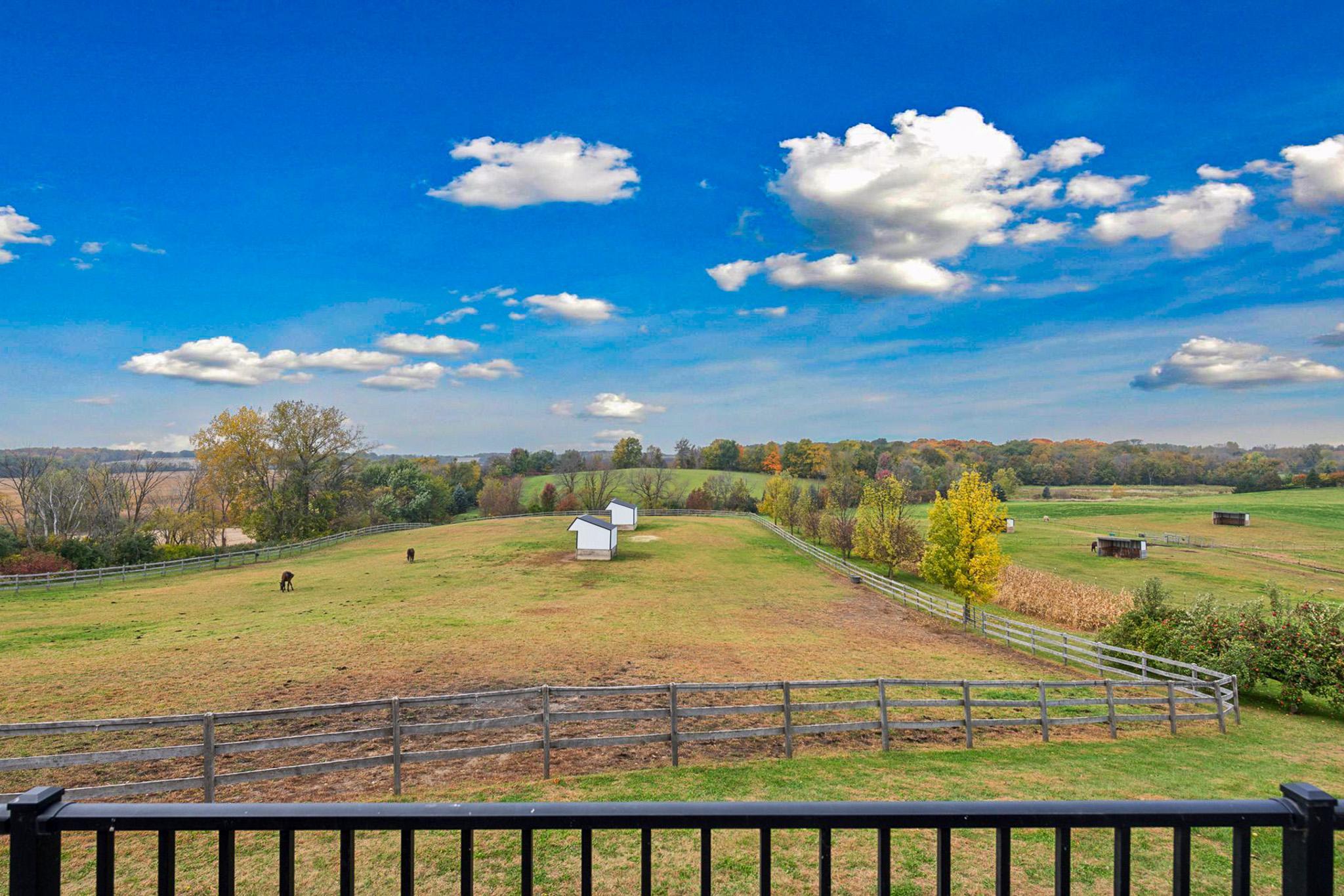 View of Residential at 9685 County Road 13, Delano MN 55328, Delano (80 of 234) - Mike Wilen | Minnesota Team Real Estate