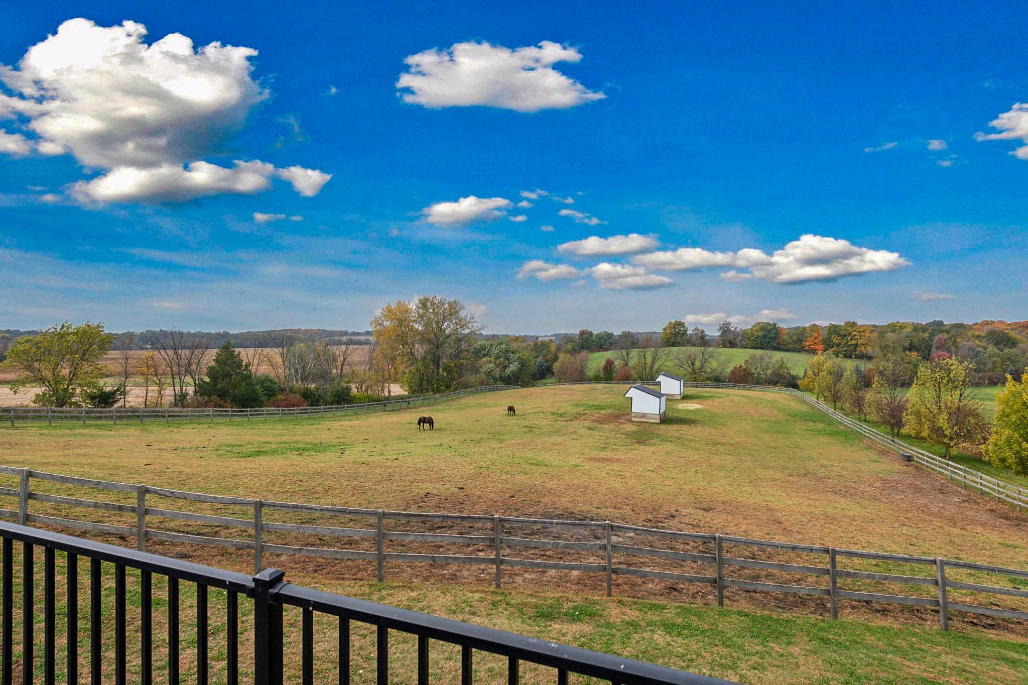 View of Residential at 9685 County Road 13, Delano MN 55328, Delano (82 of 234) - Mike Wilen | Minnesota Team Real Estate