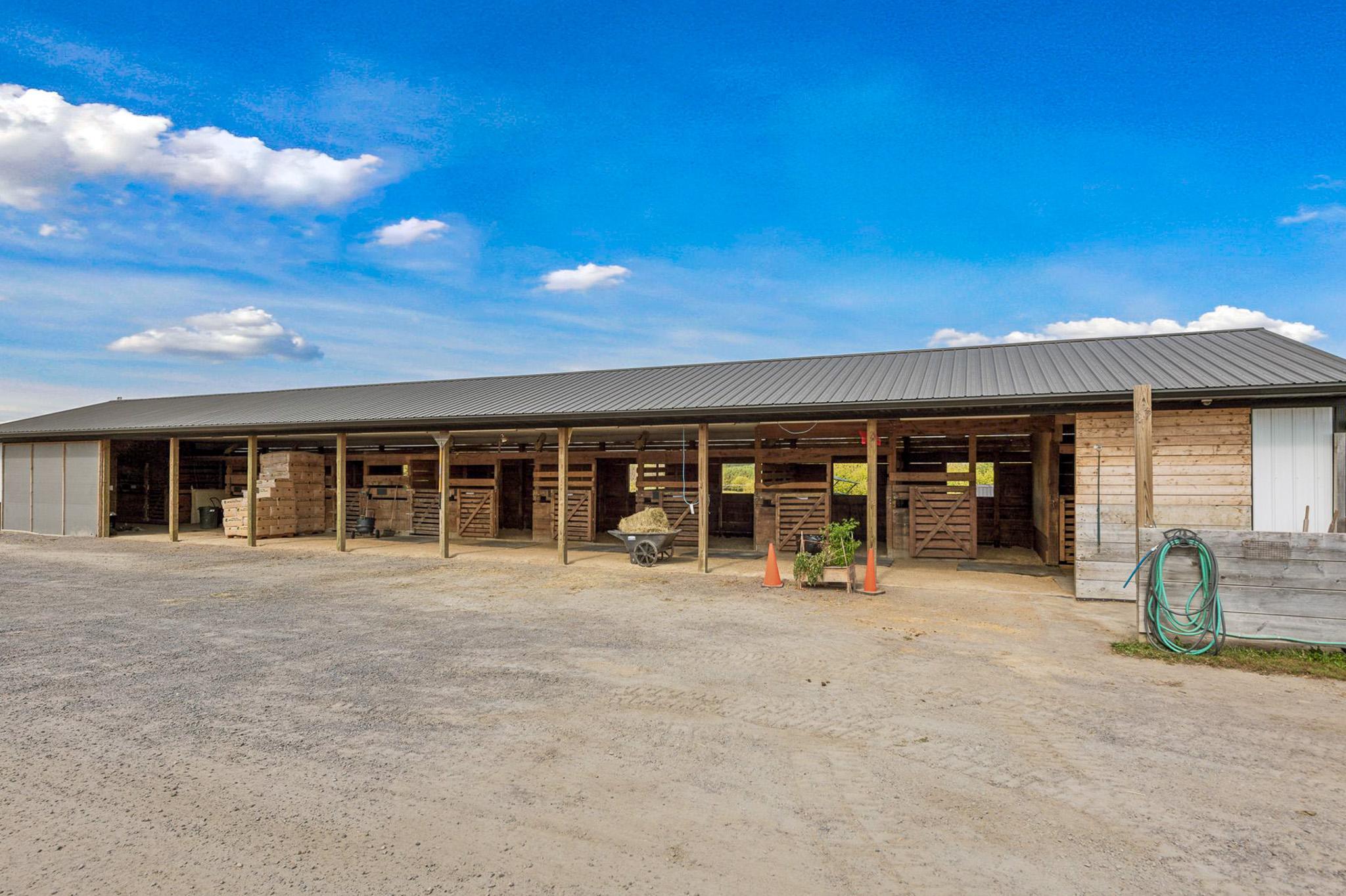 View of Residential at 9685 County Road 13, Delano MN 55328, Delano (121 of 234) - Mike Wilen | Minnesota Team Real Estate