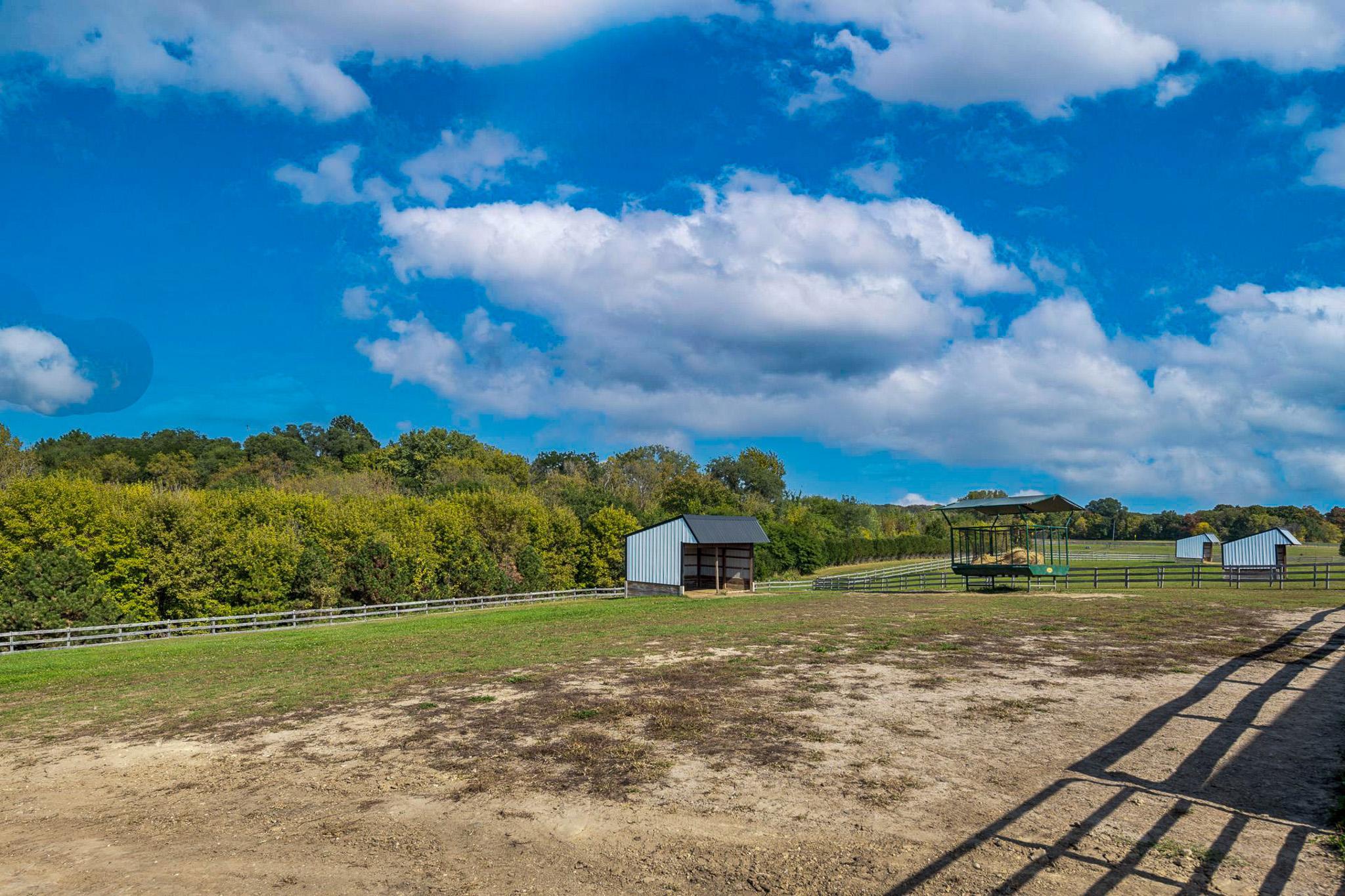 View of Residential at 9685 County Road 13, Delano MN 55328, Delano (131 of 234) - Mike Wilen | Minnesota Team Real Estate