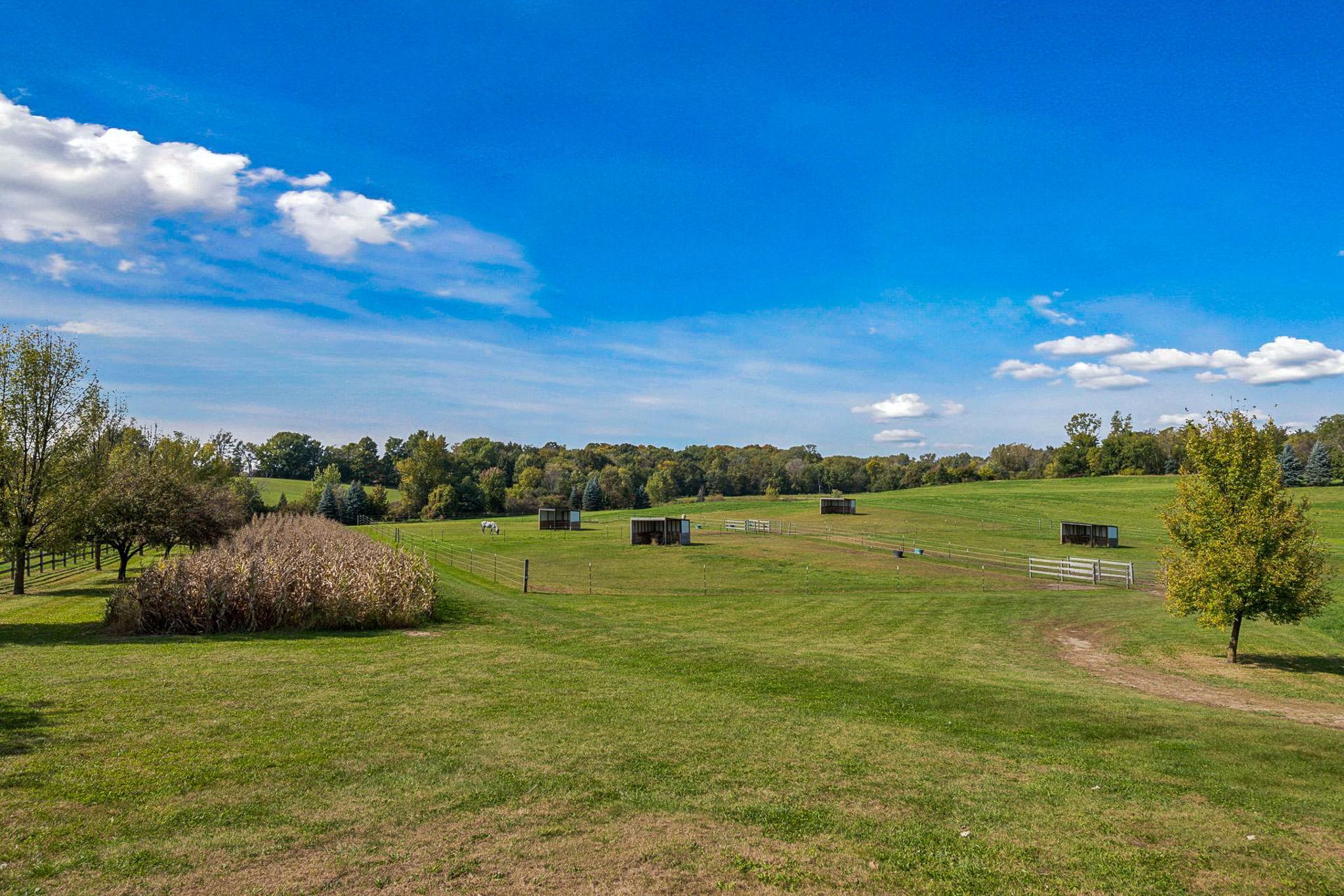 View of Residential at 9685 County Road 13, Delano MN 55328, Delano (134 of 234) - Mike Wilen | Minnesota Team Real Estate