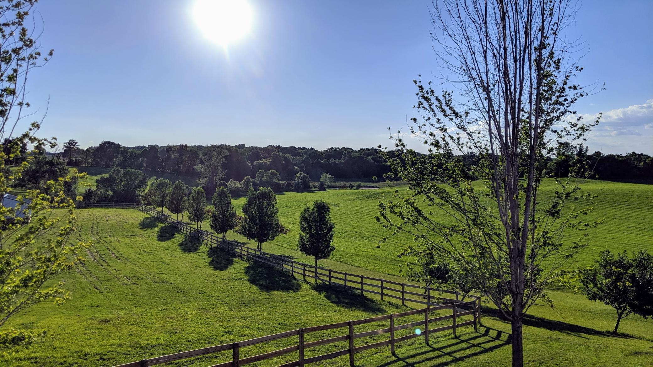View of Residential at 9685 County Road 13, Delano MN 55328, Delano (141 of 234) - Mike Wilen | Minnesota Team Real Estate