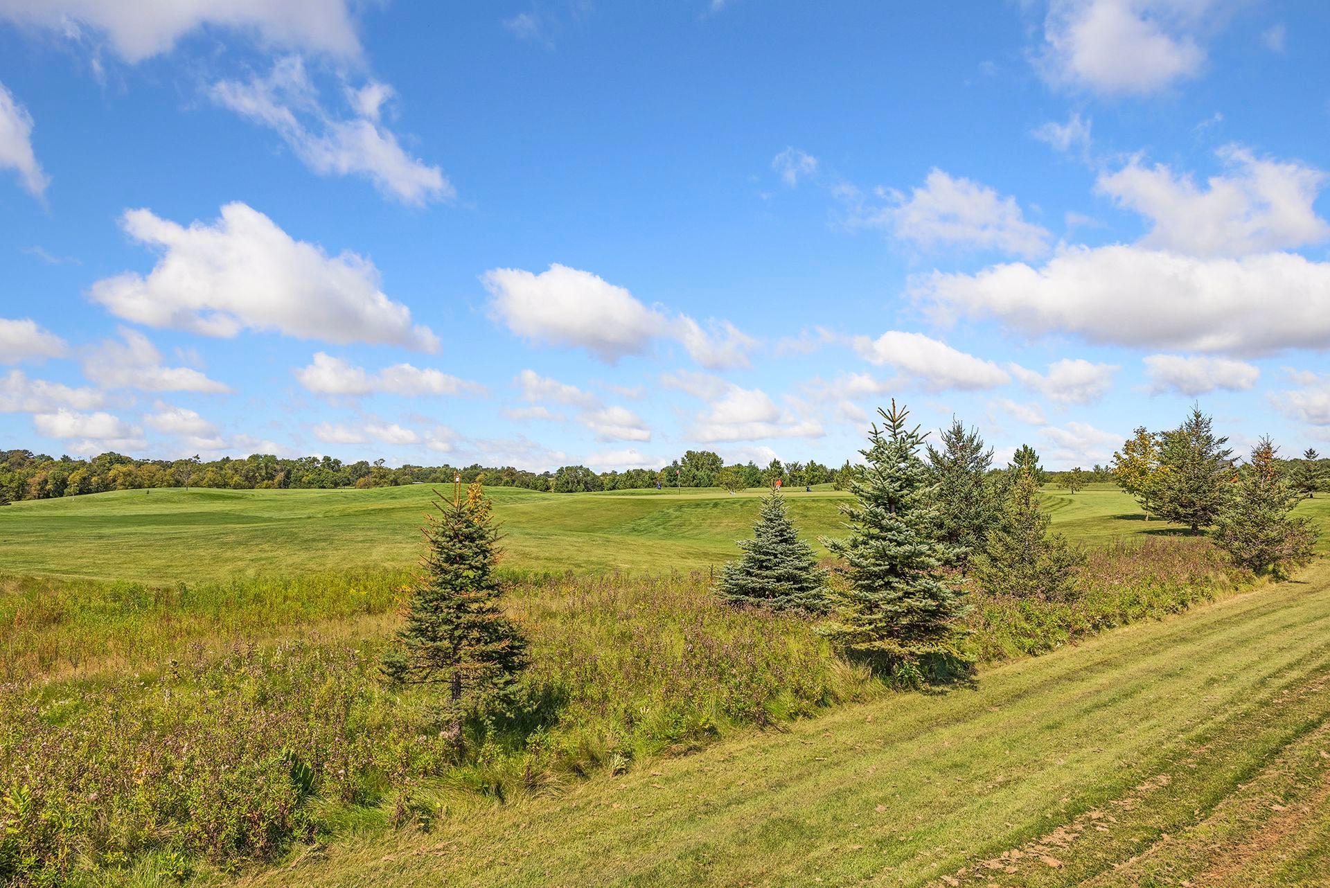 View of Residential at 9685 County Road 13, Delano MN 55328, Delano (188 of 234) - Mike Wilen | Minnesota Team Real Estate