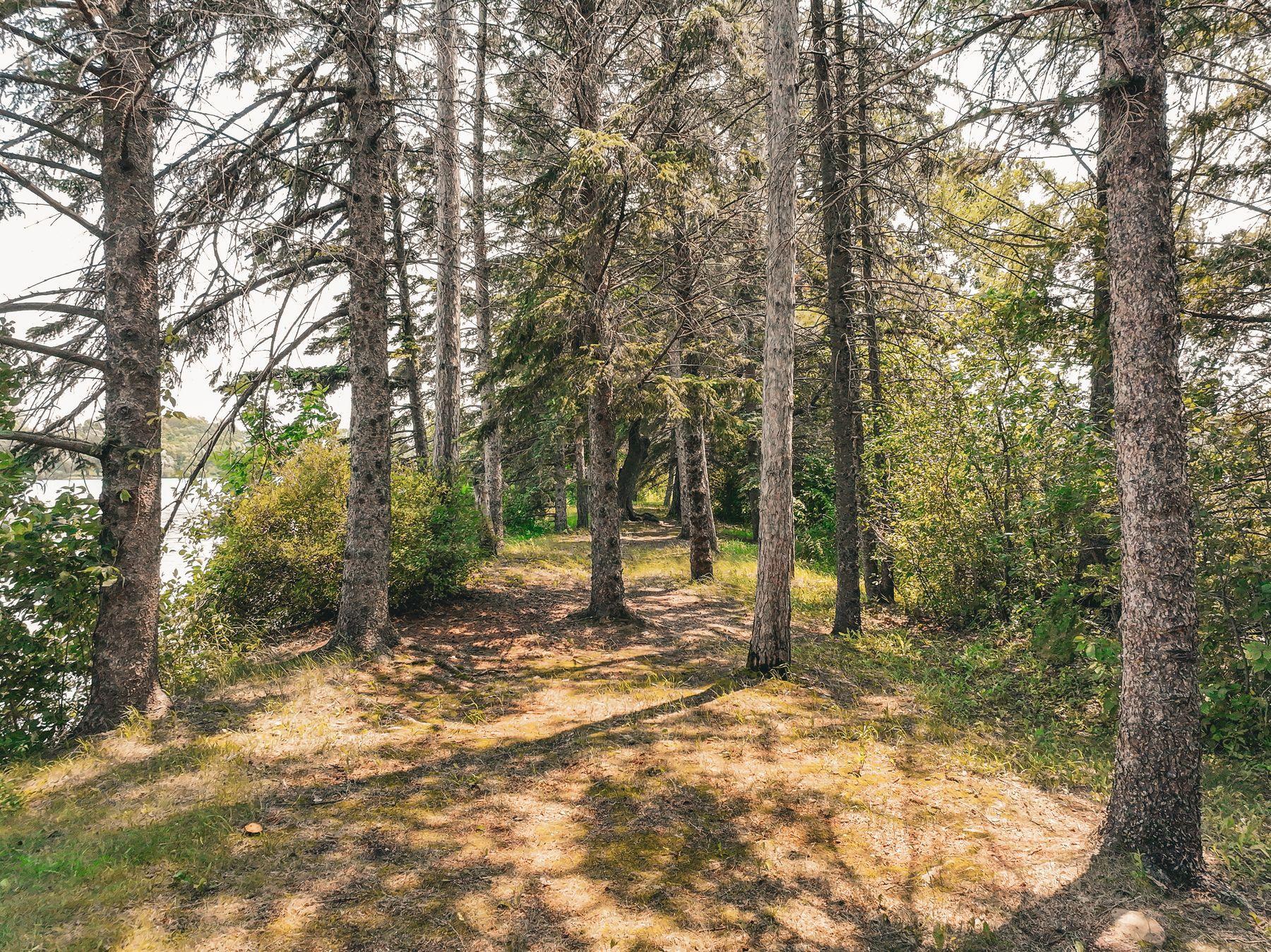 View of Land at 9685 Lakewood Circle, Chaska MN 55318, Chaska (15 of 23) - Mike Wilen | Minnesota Team Real Estate