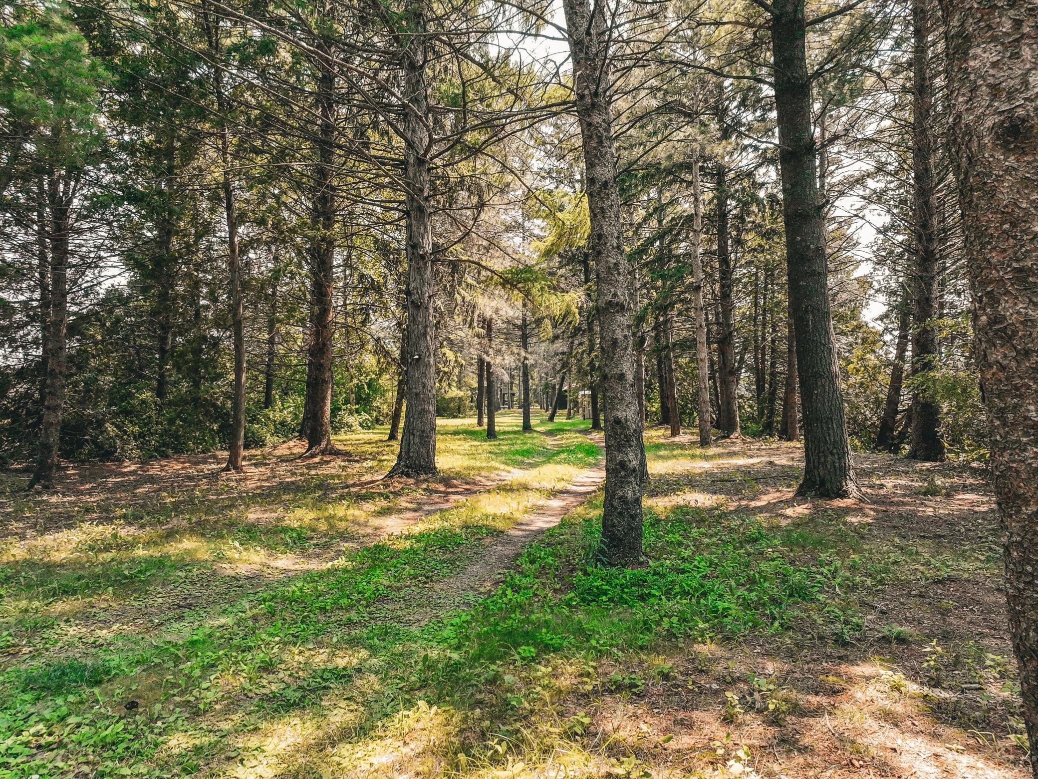 View of Land at 9685 Lakewood Circle, Chaska MN 55318, Chaska (23 of 23) - Mike Wilen | Minnesota Team Real Estate