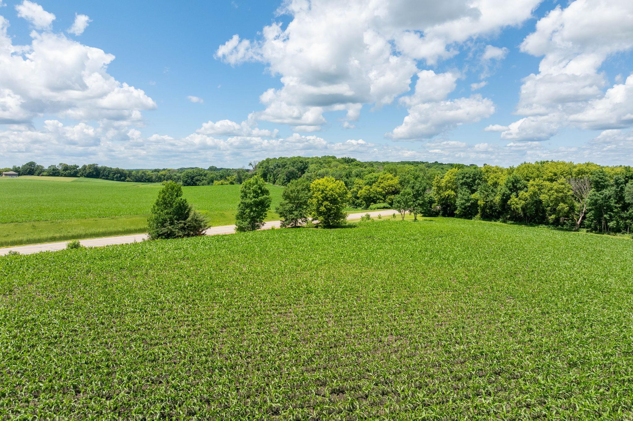 View of Land at XXX 165th Avenue, Kilkenny MN 56052, Kilkenny (13 of 13) - Mike Wilen | Minnesota Team Real Estate