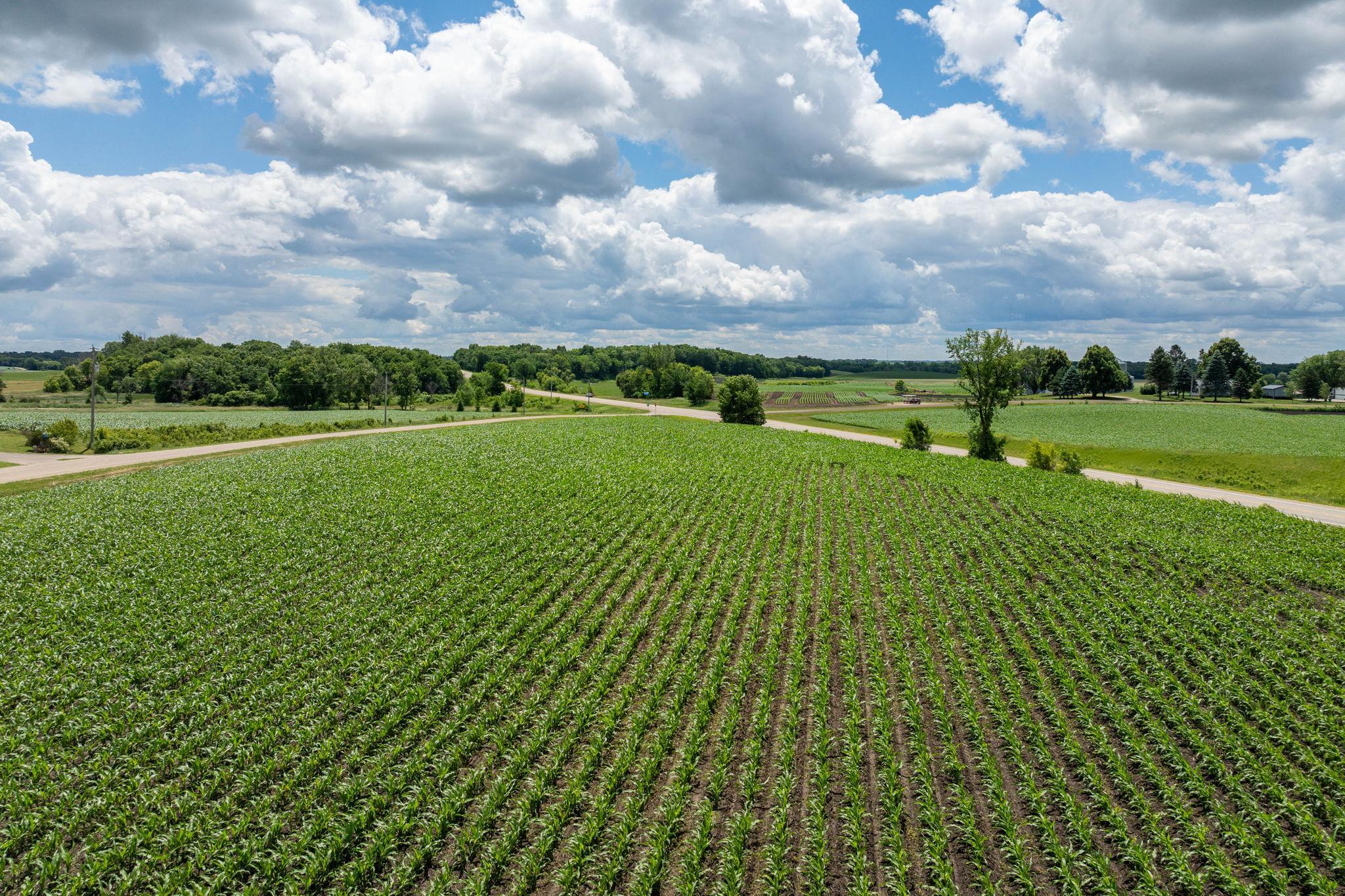 View of Land at XXX 165th Avenue, Kilkenny MN 56052, Kilkenny (11 of 13) - Mike Wilen | Minnesota Team Real Estate