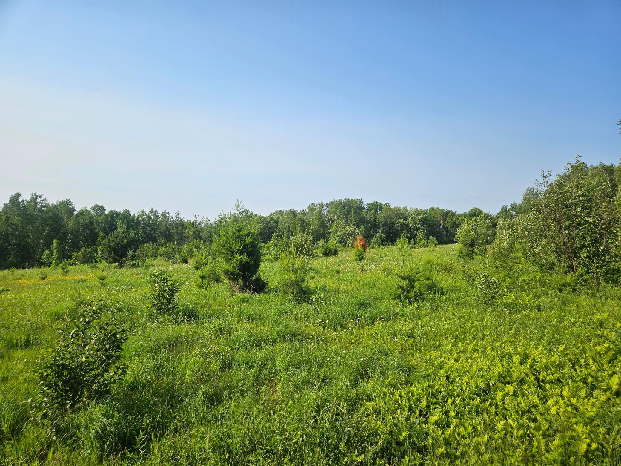 View of Land at 21048 County Road 36, Crosby MN 56441, Crosby (7 of 8) - Mike Wilen | Minnesota Team Real Estate