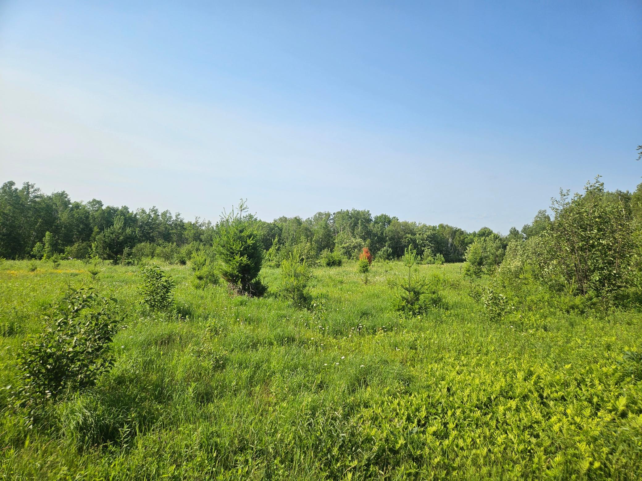 View of Land at 21048 County Road 36, Crosby MN 56441, Crosby (5 of 8) - Mike Wilen | Minnesota Team Real Estate