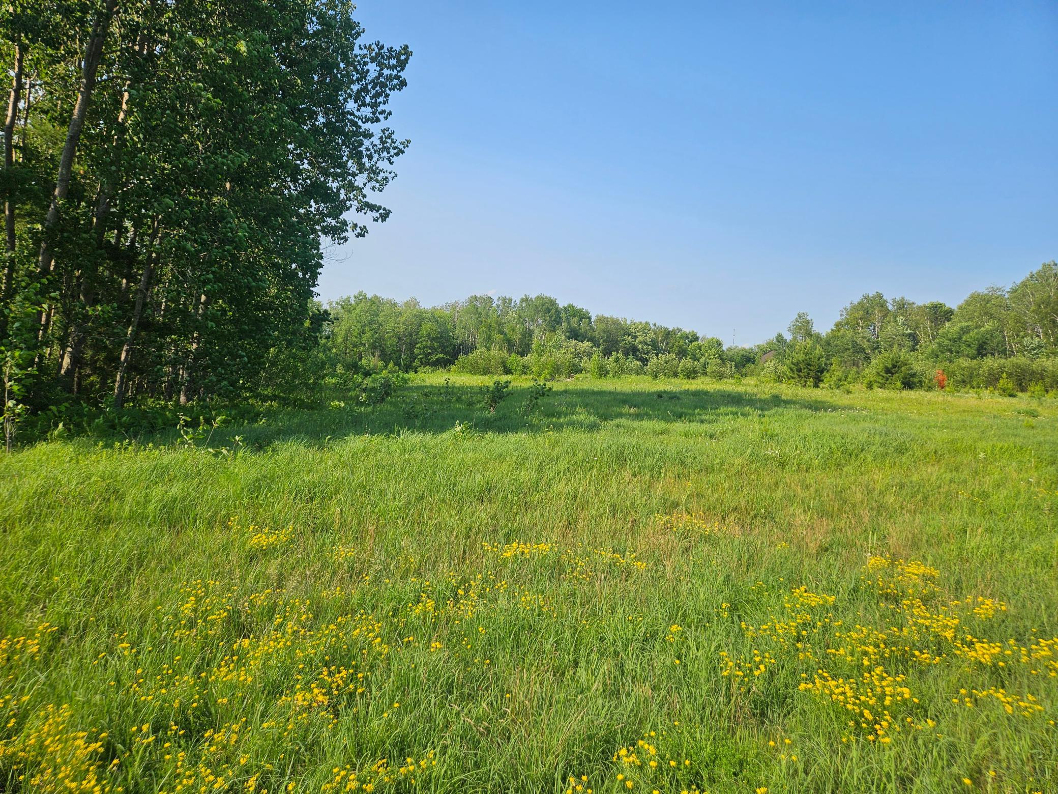 View of Land at 21048 County Road 36, Crosby MN 56441, Crosby (4 of 8) - Mike Wilen | Minnesota Team Real Estate