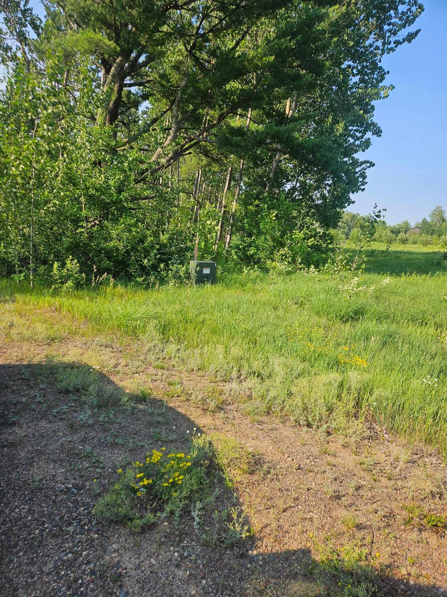 View of Land at 21048 County Road 36, Crosby MN 56441, Crosby (2 of 8) - Mike Wilen | Minnesota Team Real Estate
