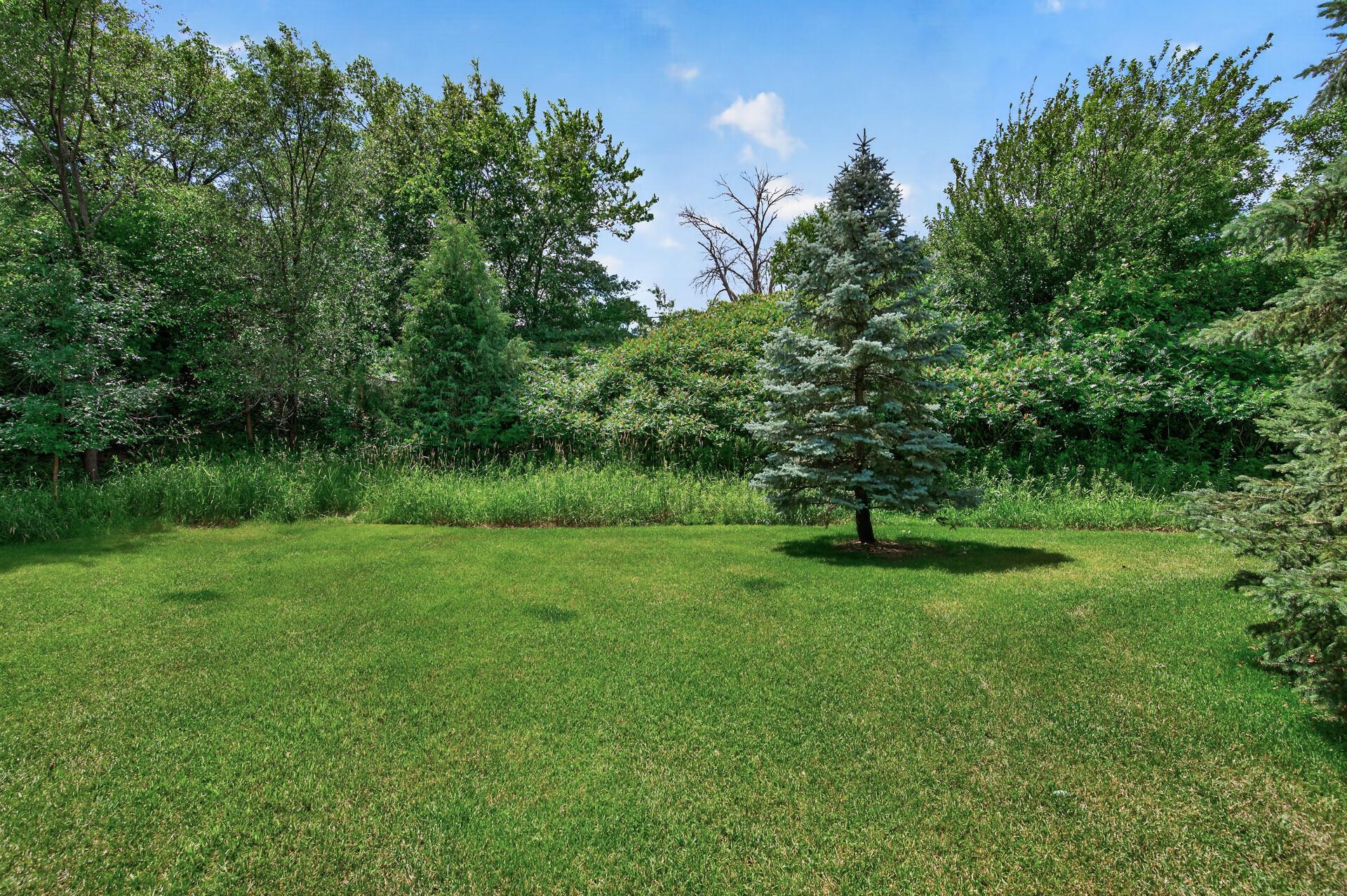 View of Residential at 313 Summer Place, Maplewood MN 55117, Maplewood (24 of 28) - Mike Wilen | Minnesota Team Real Estate