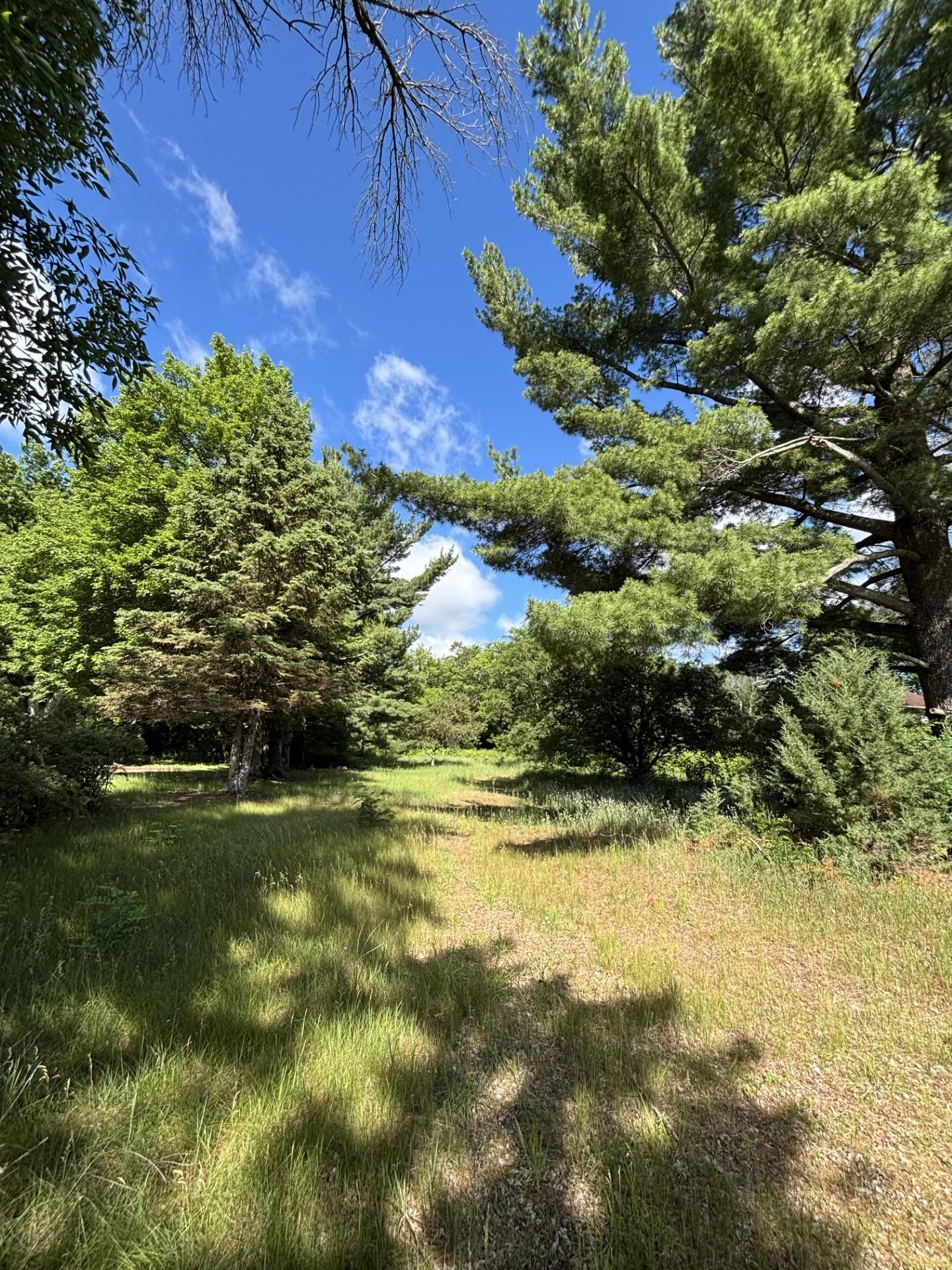 View of Land at 39088 8th Avenue, North Branch MN 55056, North Branch (4 of 4) - Mike Wilen | Minnesota Team Real Estate
