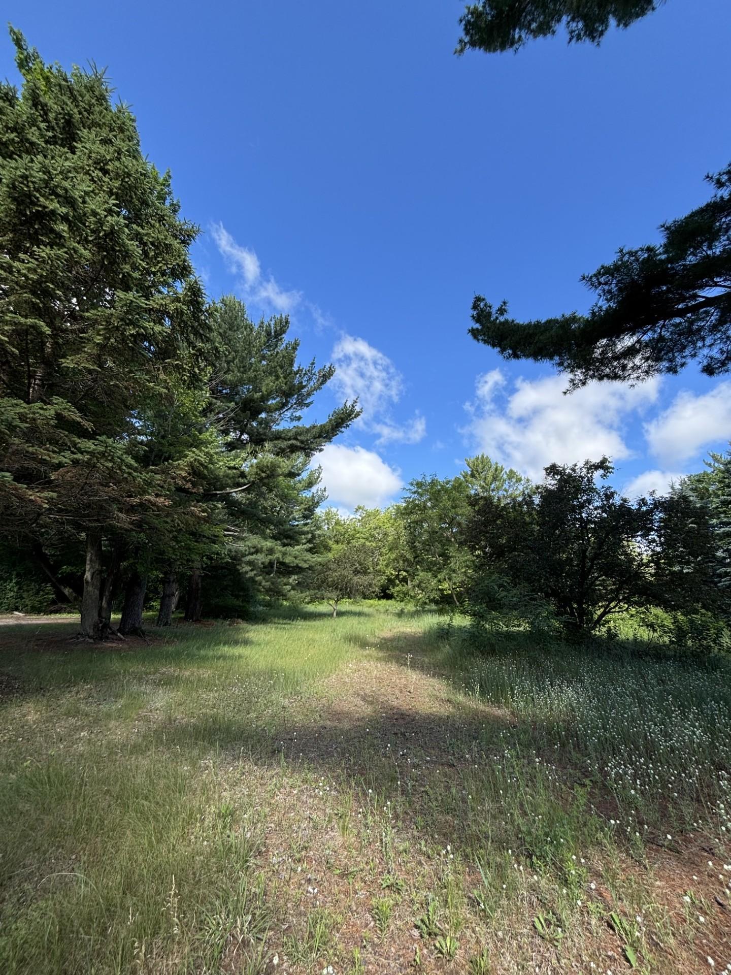 View of Land at 39088 8th Avenue, North Branch MN 55056, North Branch (3 of 4) - Mike Wilen | Minnesota Team Real Estate