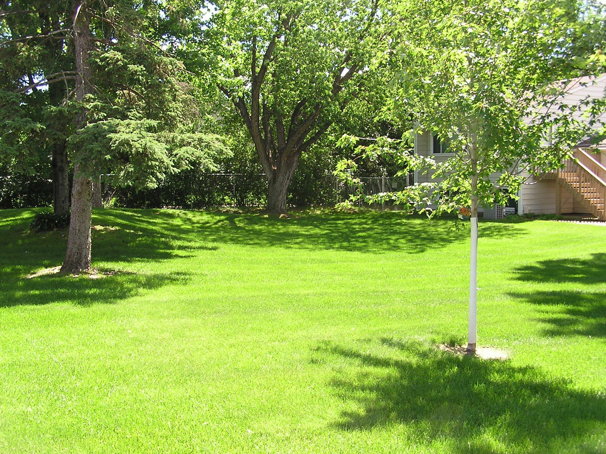 View of Residential at 2041 103rd Avenue, Coon Rapids MN 55433, Coon Rapids - Mike Wilen | Minnesota Team Real Estate