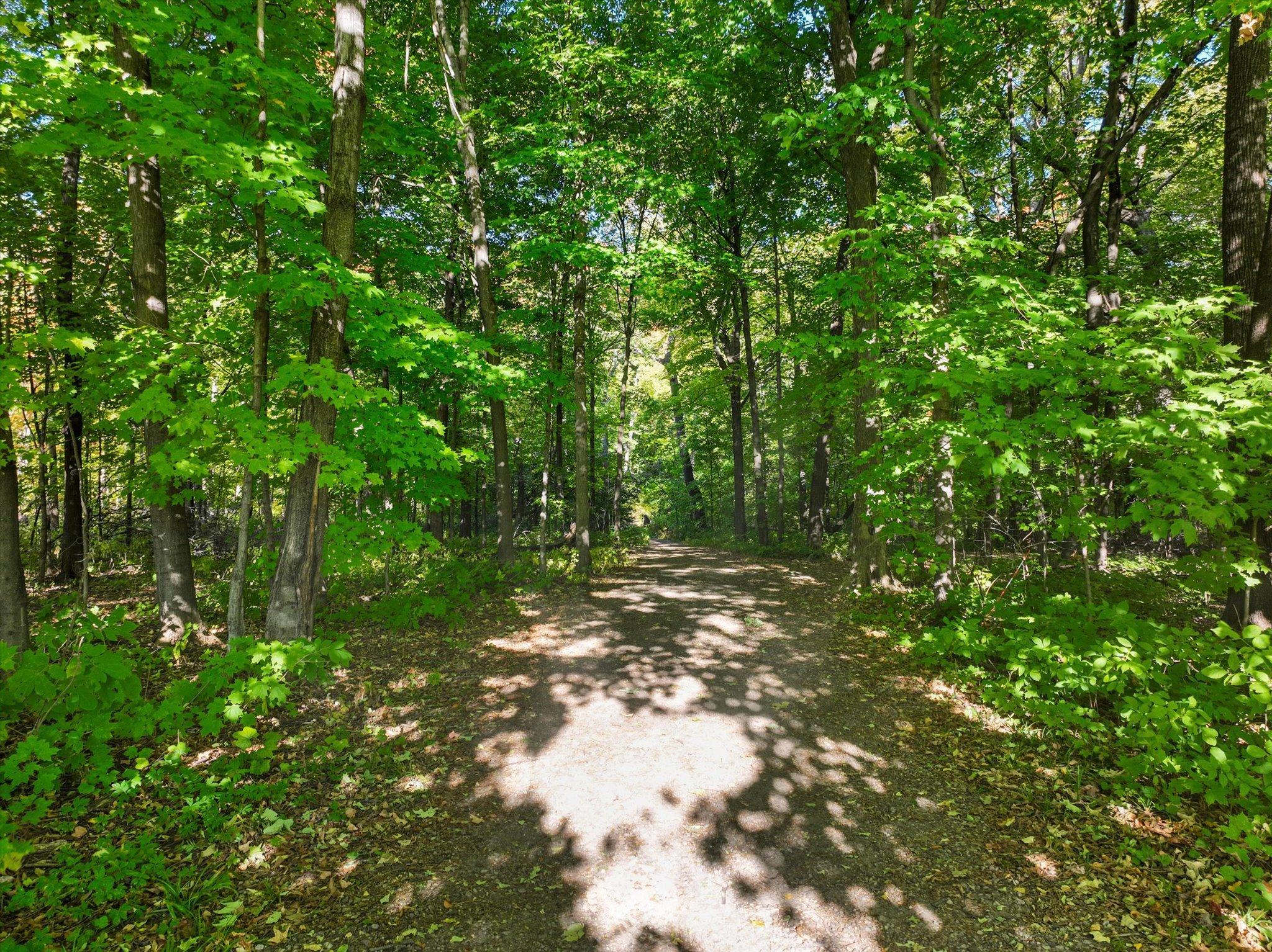 View of Residential at 24087 Escalante Lane, Rogers MN 55374, Rogers (21 of 23) - Mike Wilen | Minnesota Team Real Estate