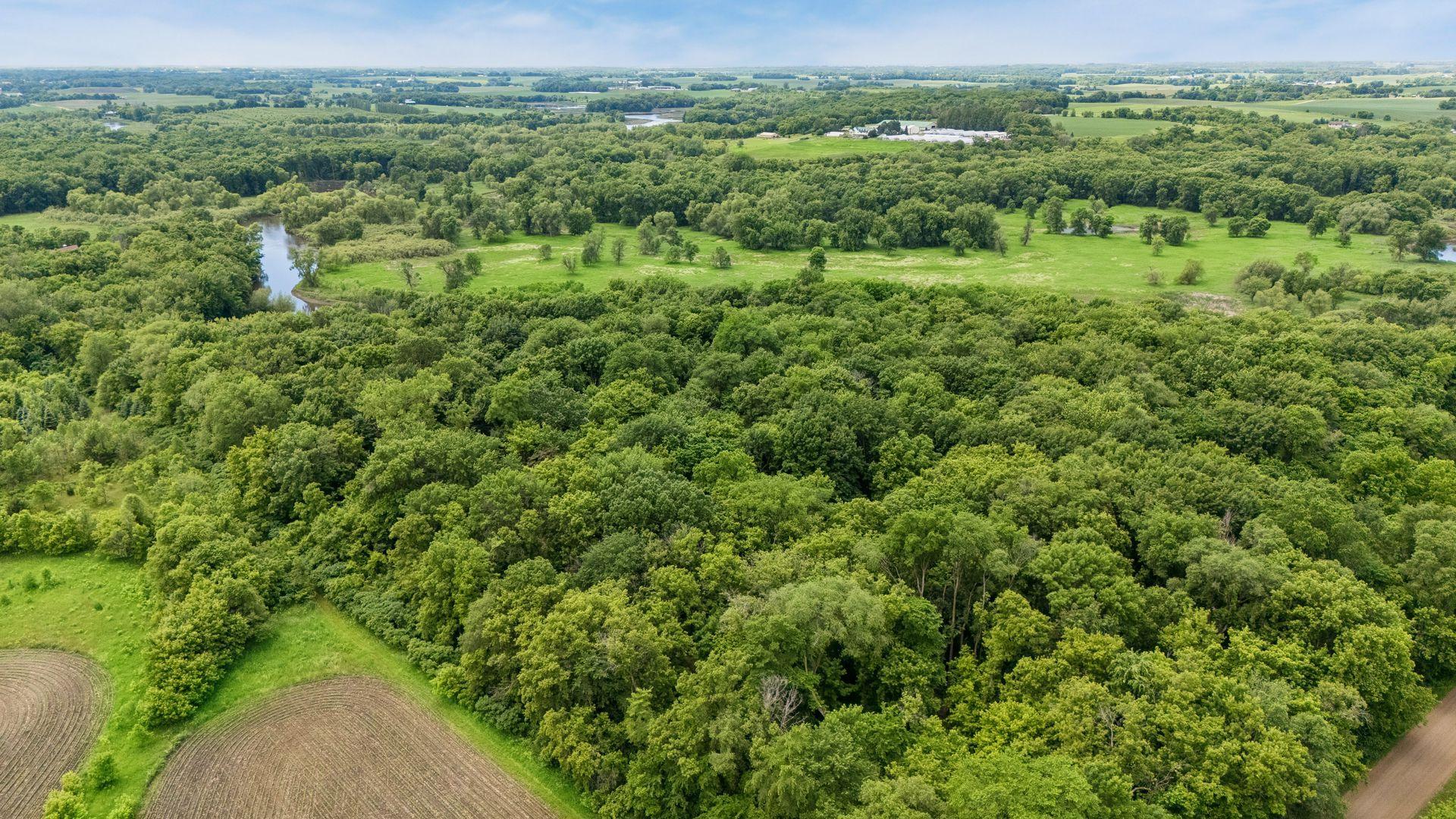 View of Residential at 4251 20th Street, Waverly MN 55390, Waverly (14 of 16) - Mike Wilen | Minnesota Team Real Estate