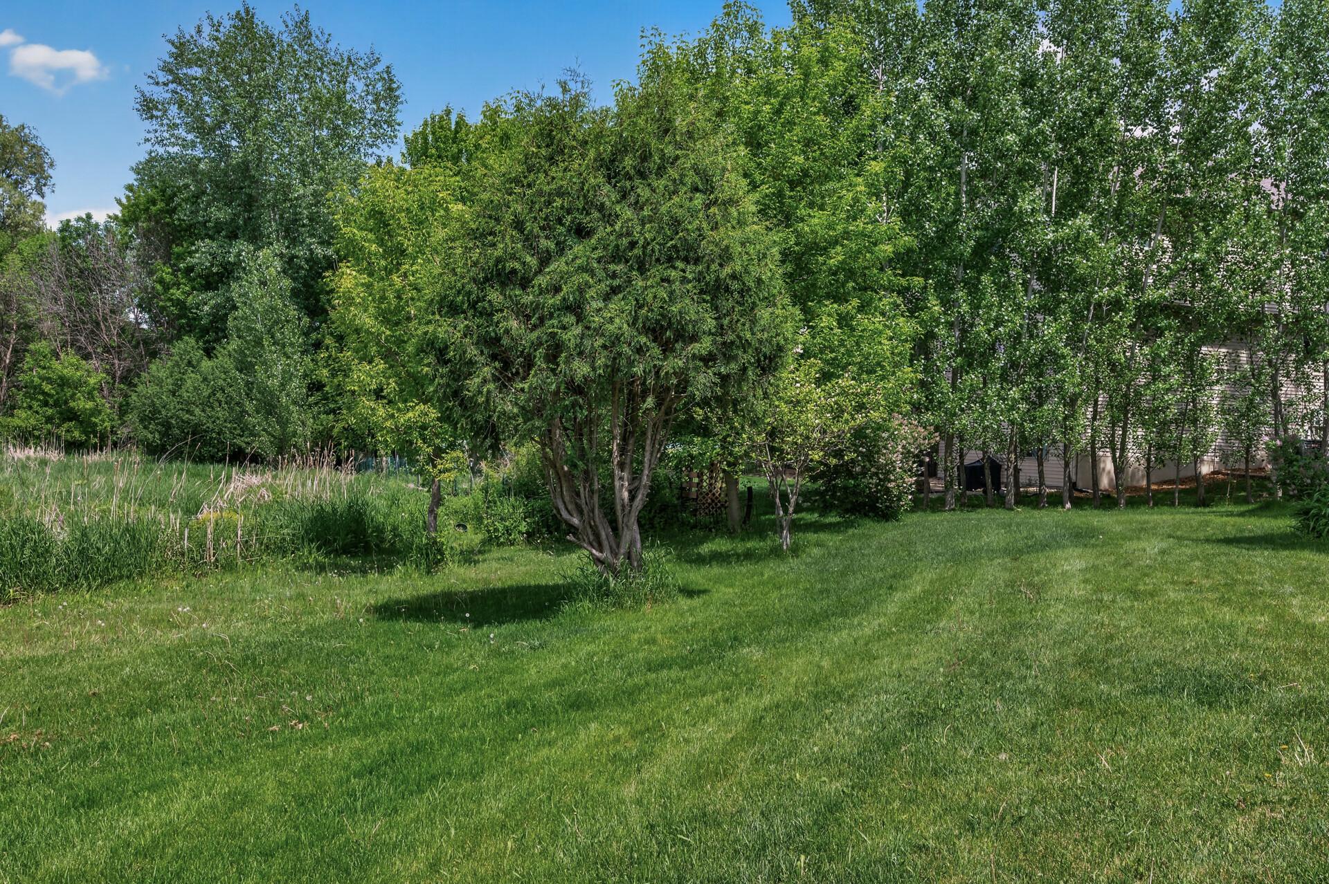 View of Residential at 1511 Oakview Court, Hugo MN 55038, Hugo (28 of 29) - Mike Wilen | Minnesota Team Real Estate