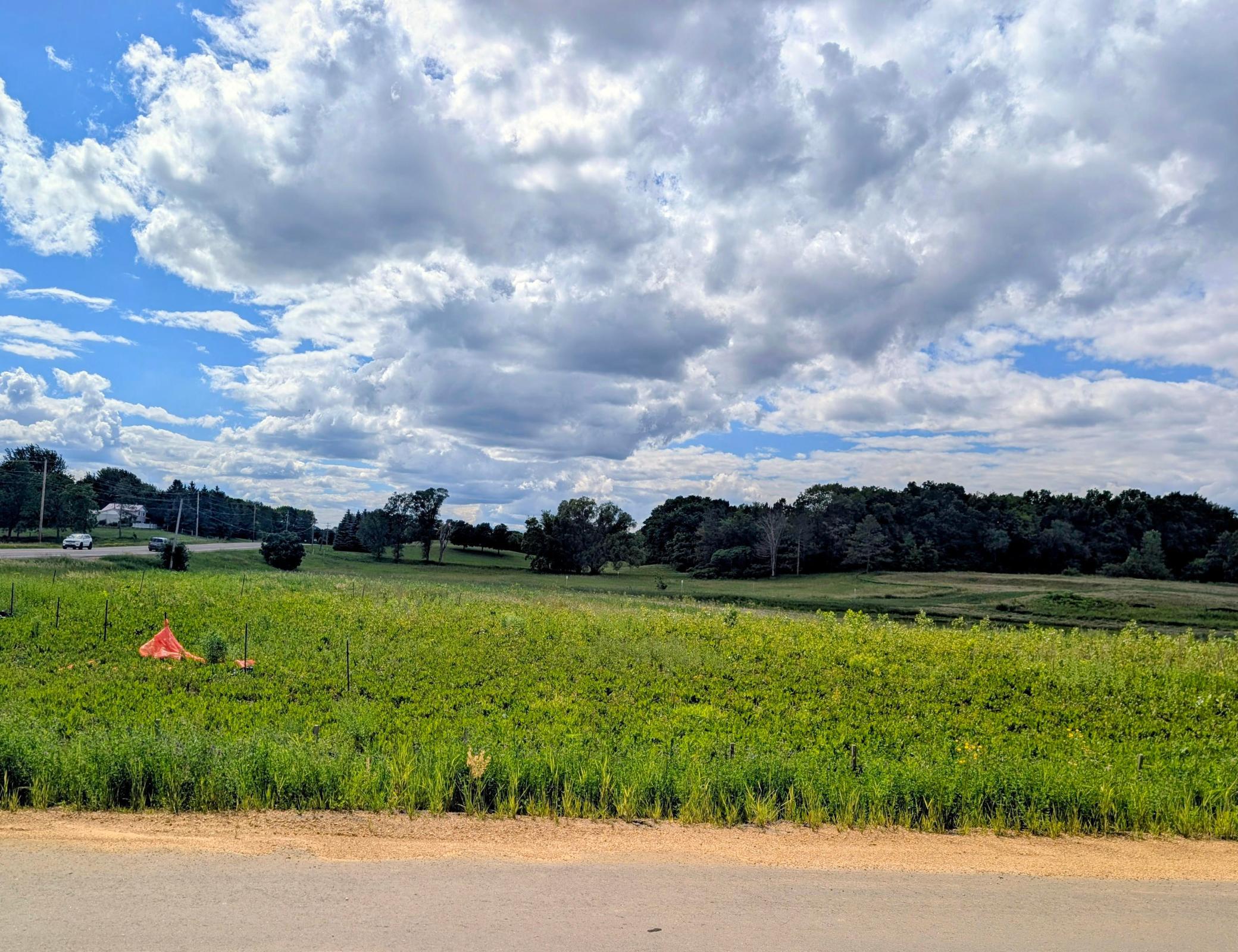 View of Land at 10912 Taylor Lane, Rogers MN 55374, Rogers (12 of 14) - Mike Wilen | Minnesota Team Real Estate