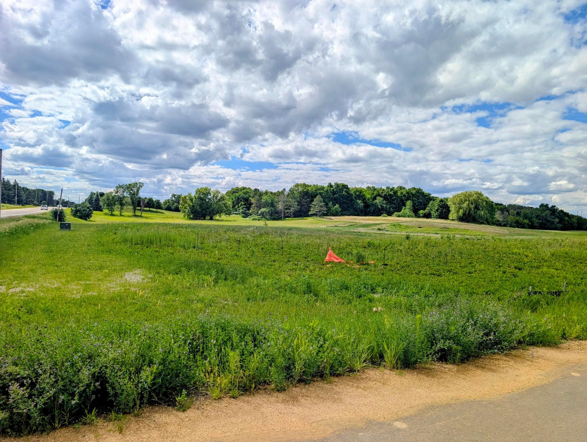 View of Land at 10912 Taylor Lane, Rogers MN 55374, Rogers (11 of 14) - Mike Wilen | Minnesota Team Real Estate