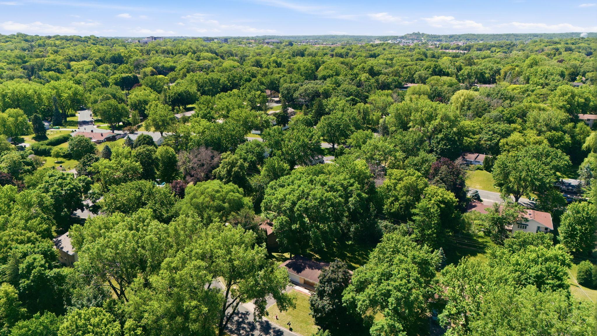 View of Residential at 409 Harold Drive, Burnsville MN 55337, Burnsville (58 of 62) - Mike Wilen | Minnesota Team Real Estate