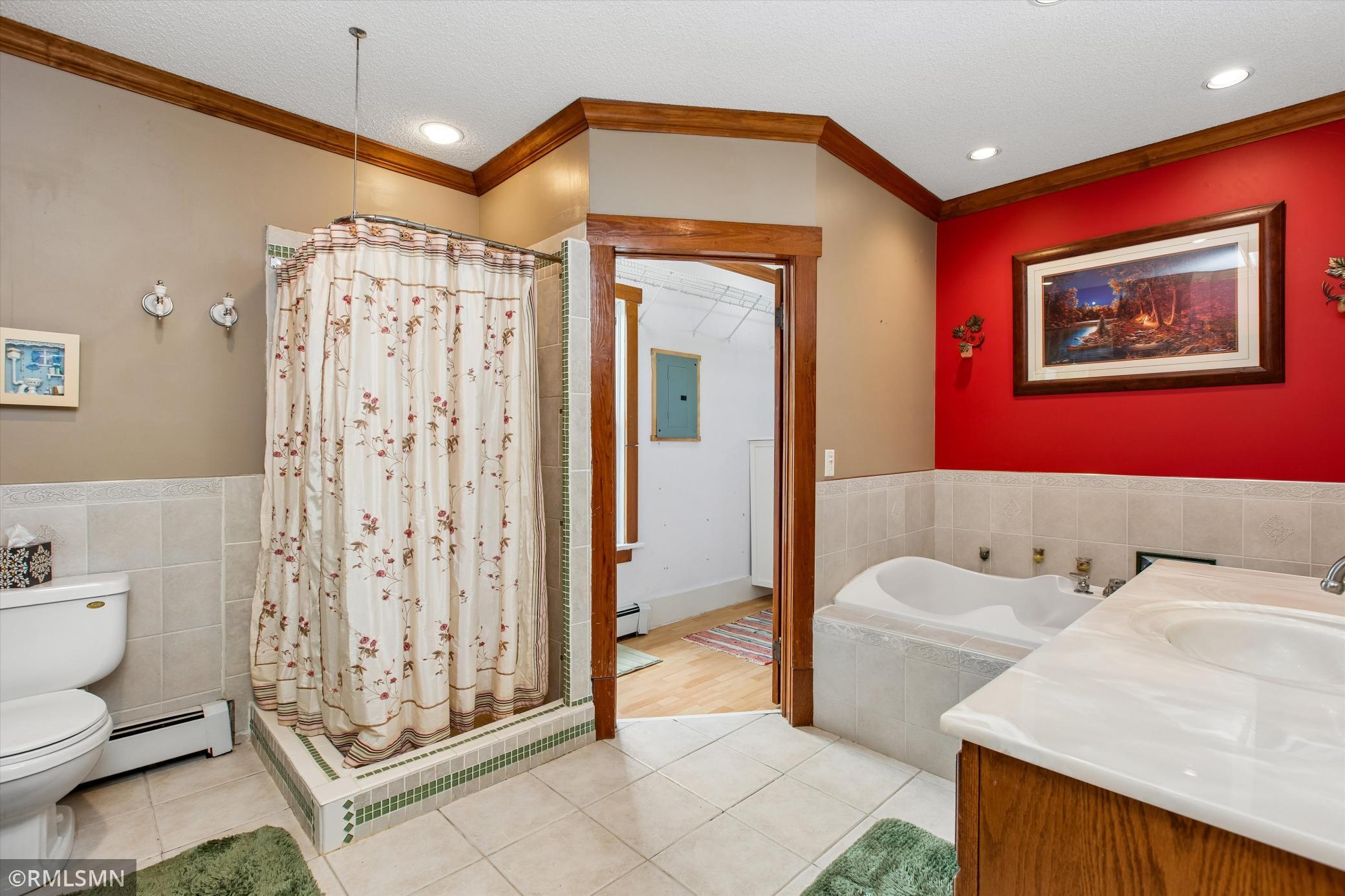 View of Residential at 701 Hoffman Street, Cannon Falls MN 55009, Cannon Falls (28 of 47) - Mike Wilen | Minnesota Team Real Estate