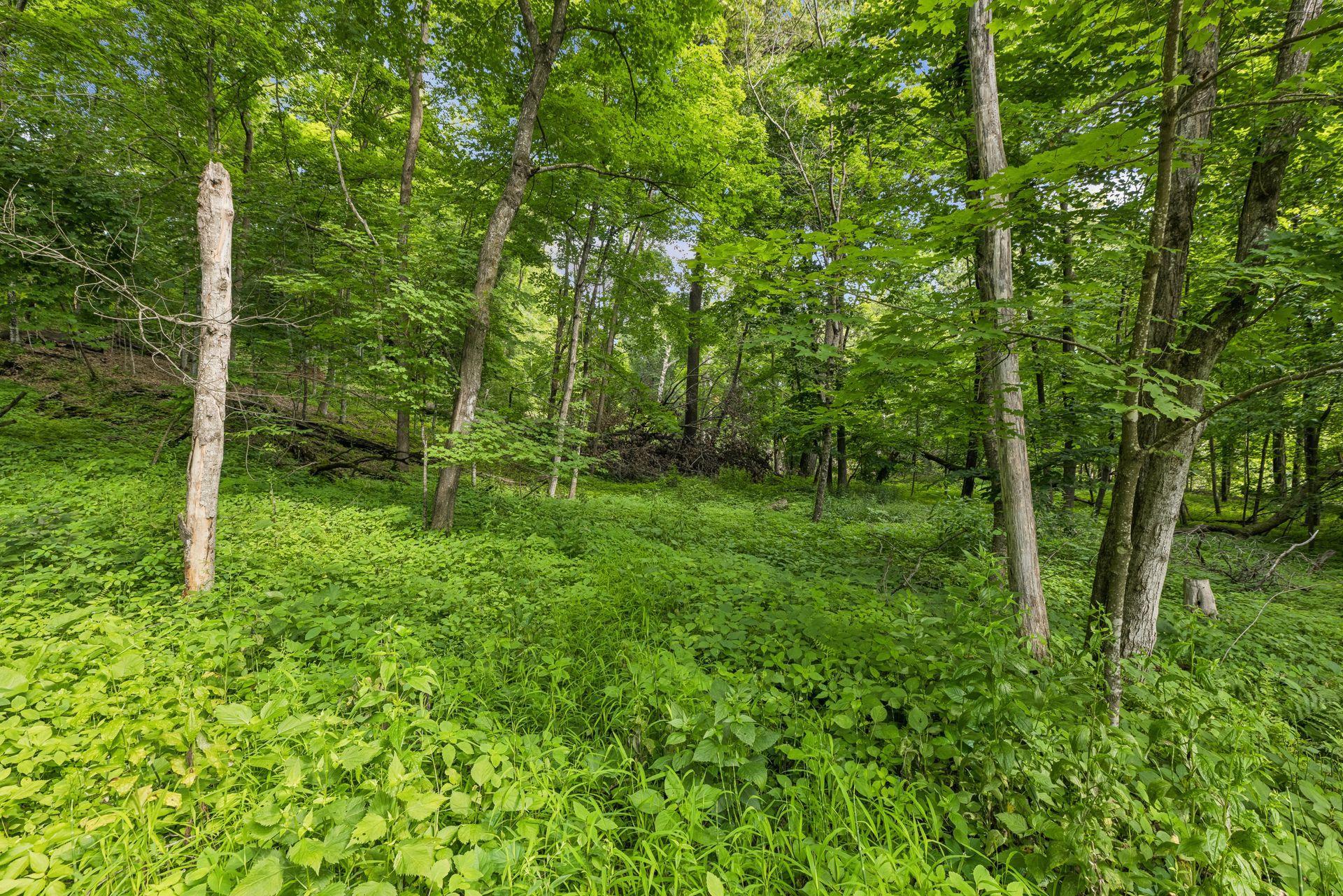 View of Residential at 13 Butternut Falls Trail, Marine On Saint Croix MN 55047, Marine On Saint Croix (46 of 64) - Mike Wilen | Minnesota Team Real Estate