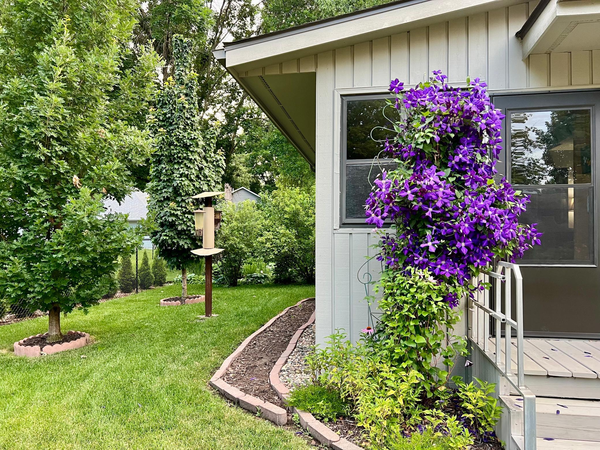 View of Residential at 701 Hackerson Court, Northfield MN 55057, Northfield (40 of 50) - Mike Wilen | Minnesota Team Real Estate
