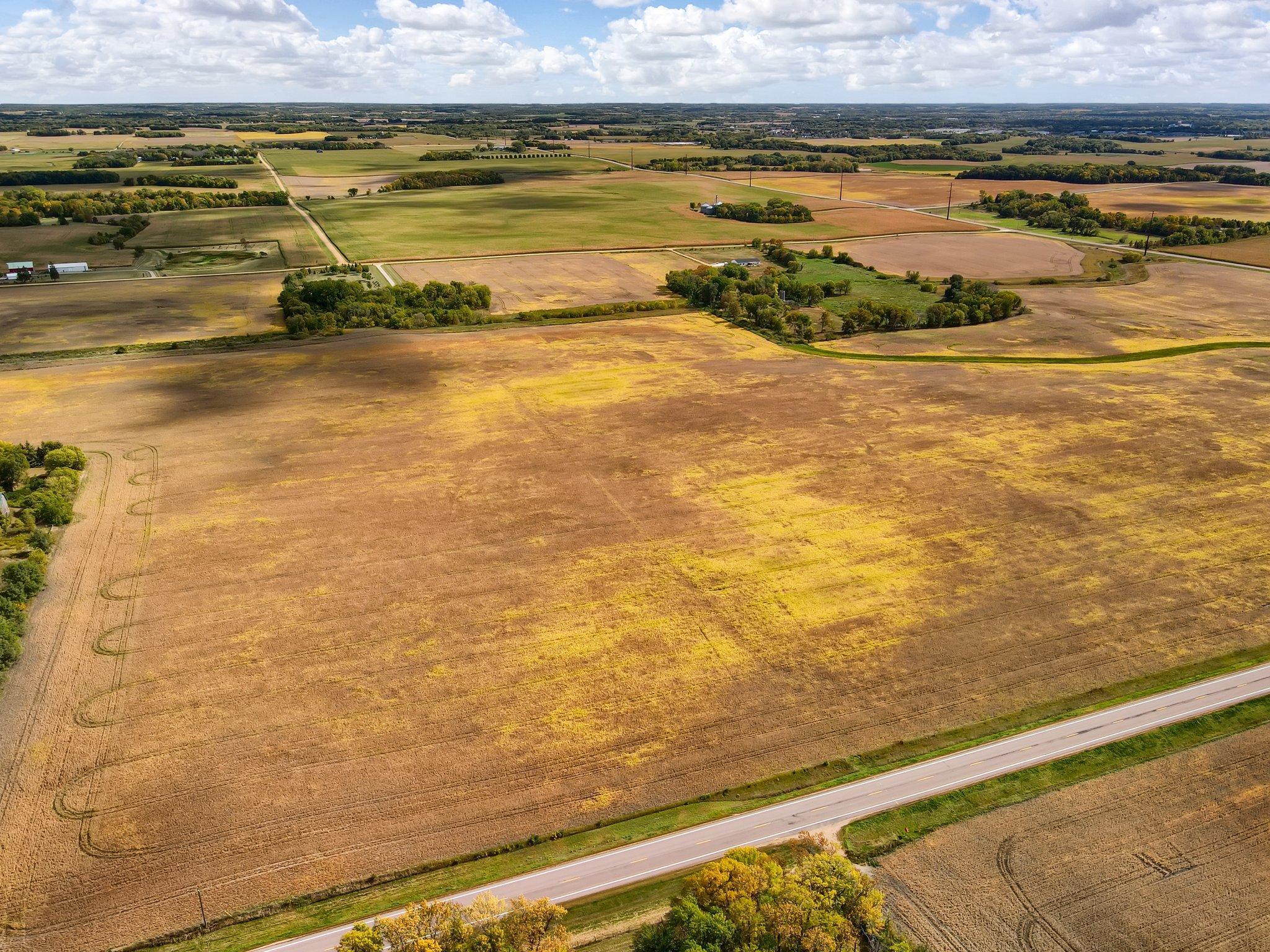 View of Land at 25479 Delmar Avenue, New Prague MN 56071, New Prague (2 of 2) - Mike Wilen | Minnesota Team Real Estate