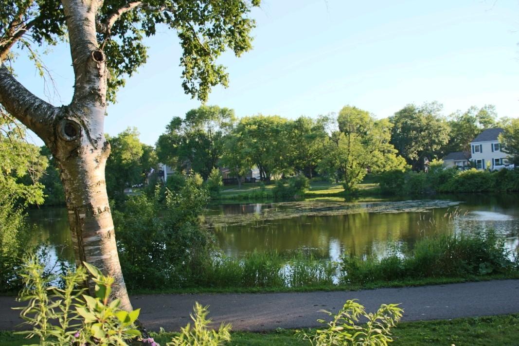 View of Residential at 6877 Grenwich Lane, Oakdale MN 55128, Oakdale (18 of 18) - Mike Wilen | Minnesota Team Real Estate