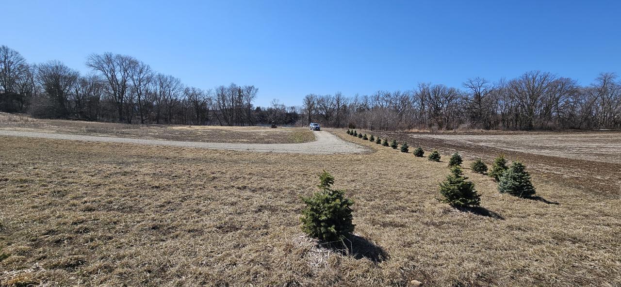 View of Land at 0 80th, Annandale MN 55302, Annandale (9 of 10) - Mike Wilen | Minnesota Team Real Estate