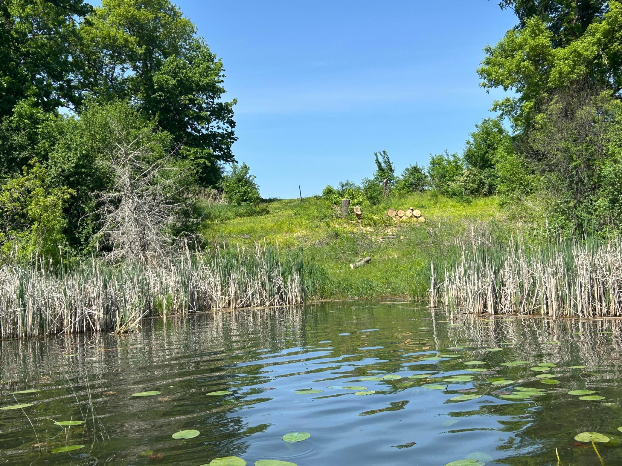 View of Land at 0 80th, Annandale MN 55302, Annandale - Mike Wilen | Minnesota Team Real Estate