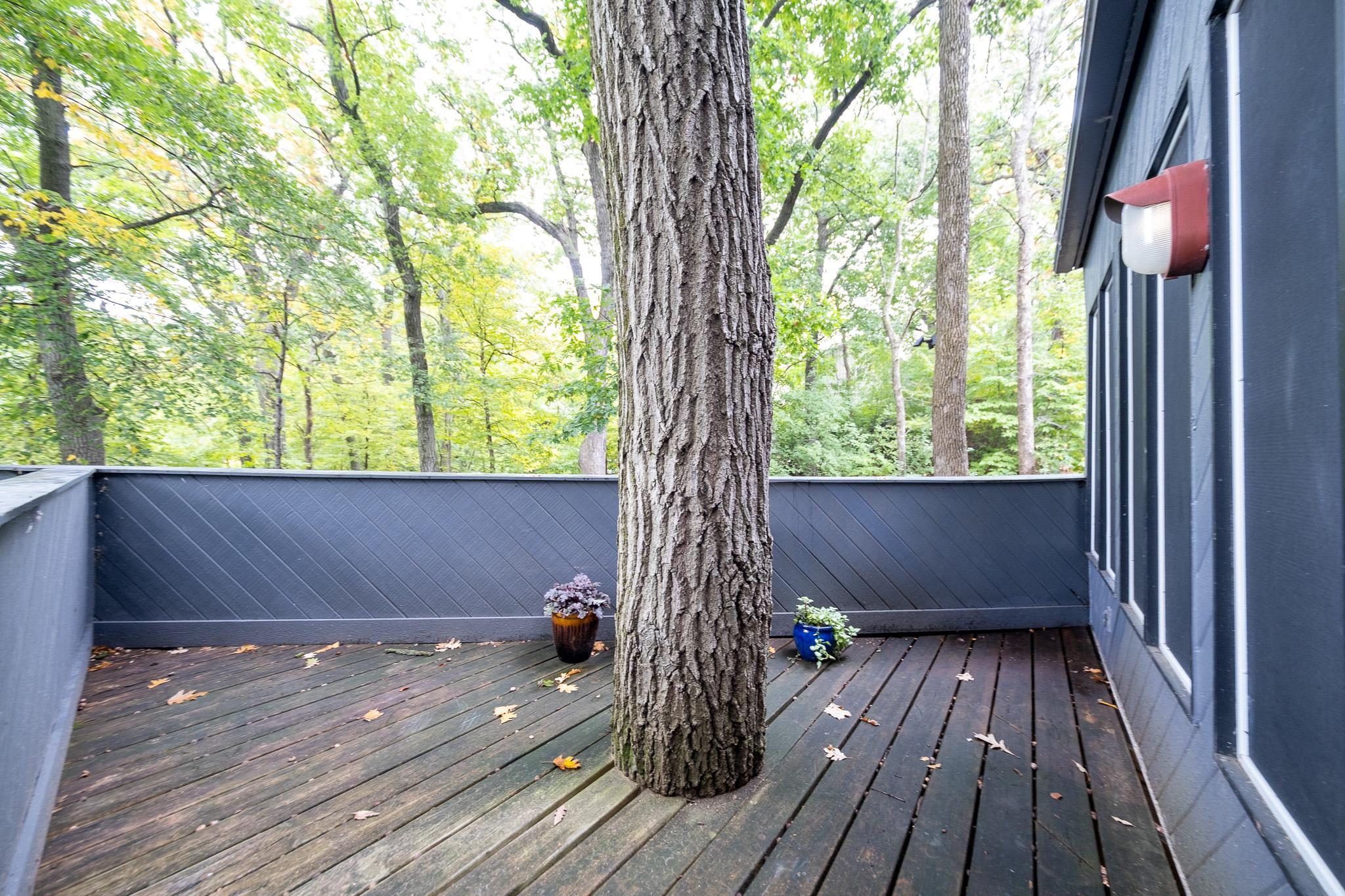 View of Residential at 14717 Minnehaha Place, Minnetonka MN 55391, Minnetonka (18 of 89) - Mike Wilen | Minnesota Team Real Estate