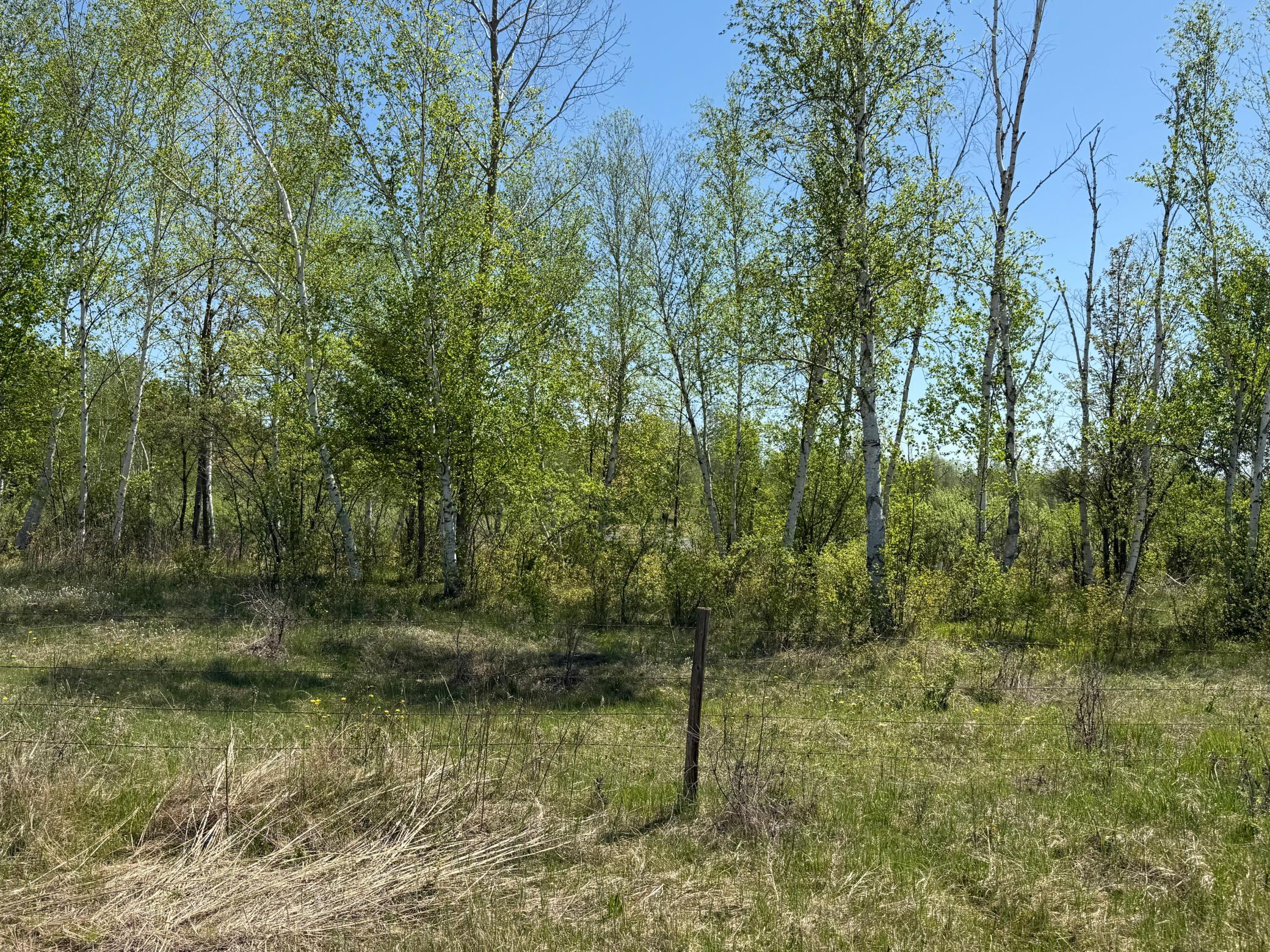 View of Land at NA Dove Rd, Hinckley MN 55037, Hinckley (20 of 43) - Mike Wilen | Minnesota Team Real Estate