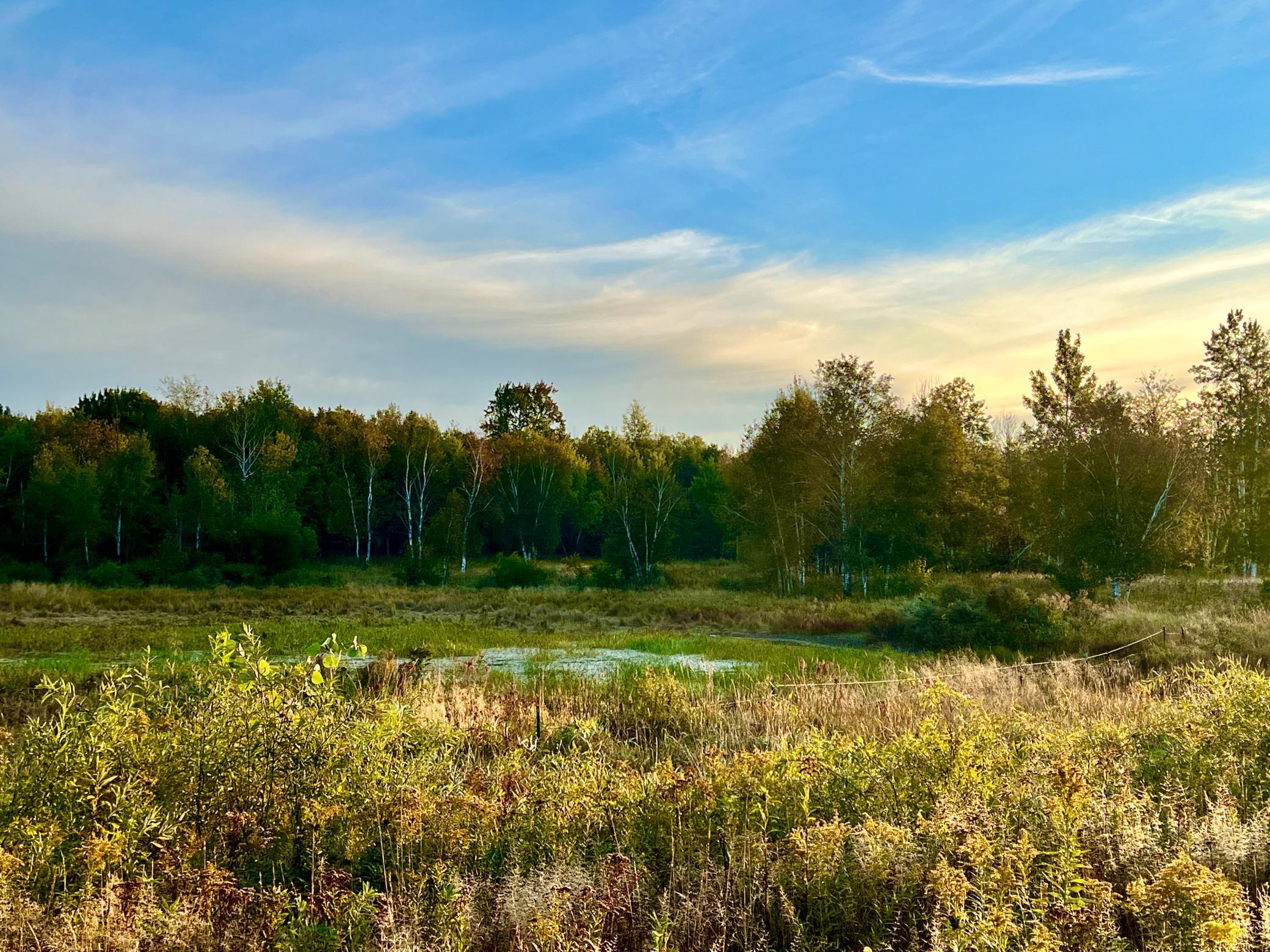 View of Land at NA Dove Rd, Hinckley MN 55037, Hinckley (14 of 43) - Mike Wilen | Minnesota Team Real Estate