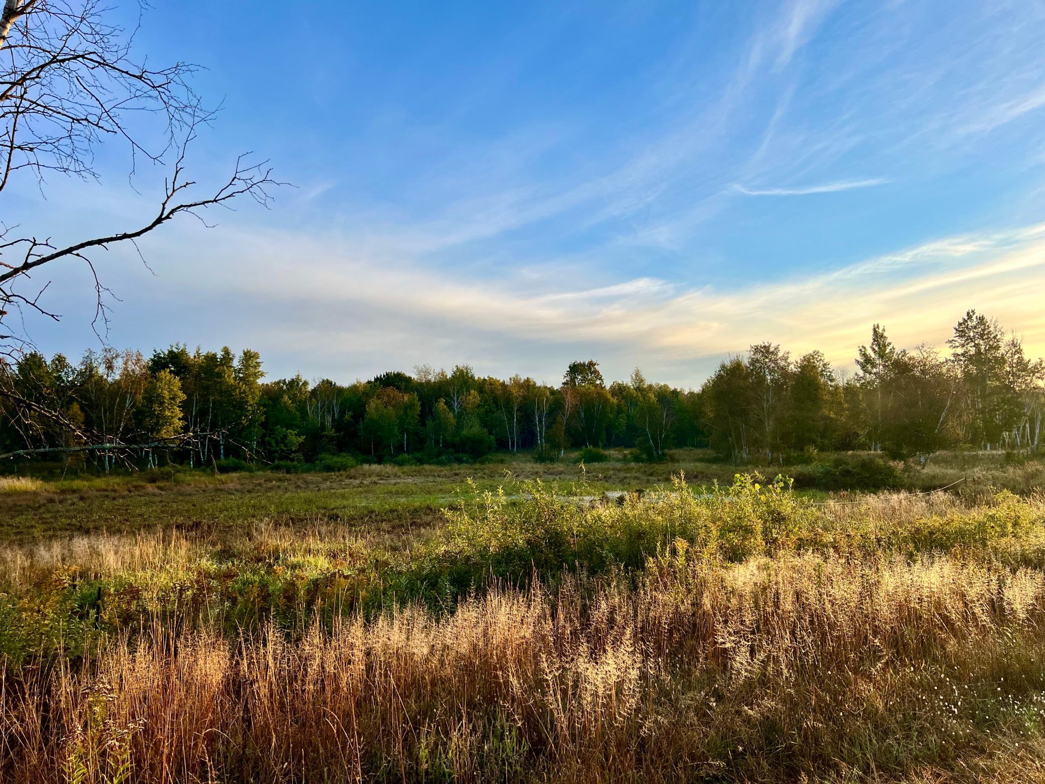 View of Land at NA Dove Rd, Hinckley MN 55037, Hinckley (13 of 43) - Mike Wilen | Minnesota Team Real Estate