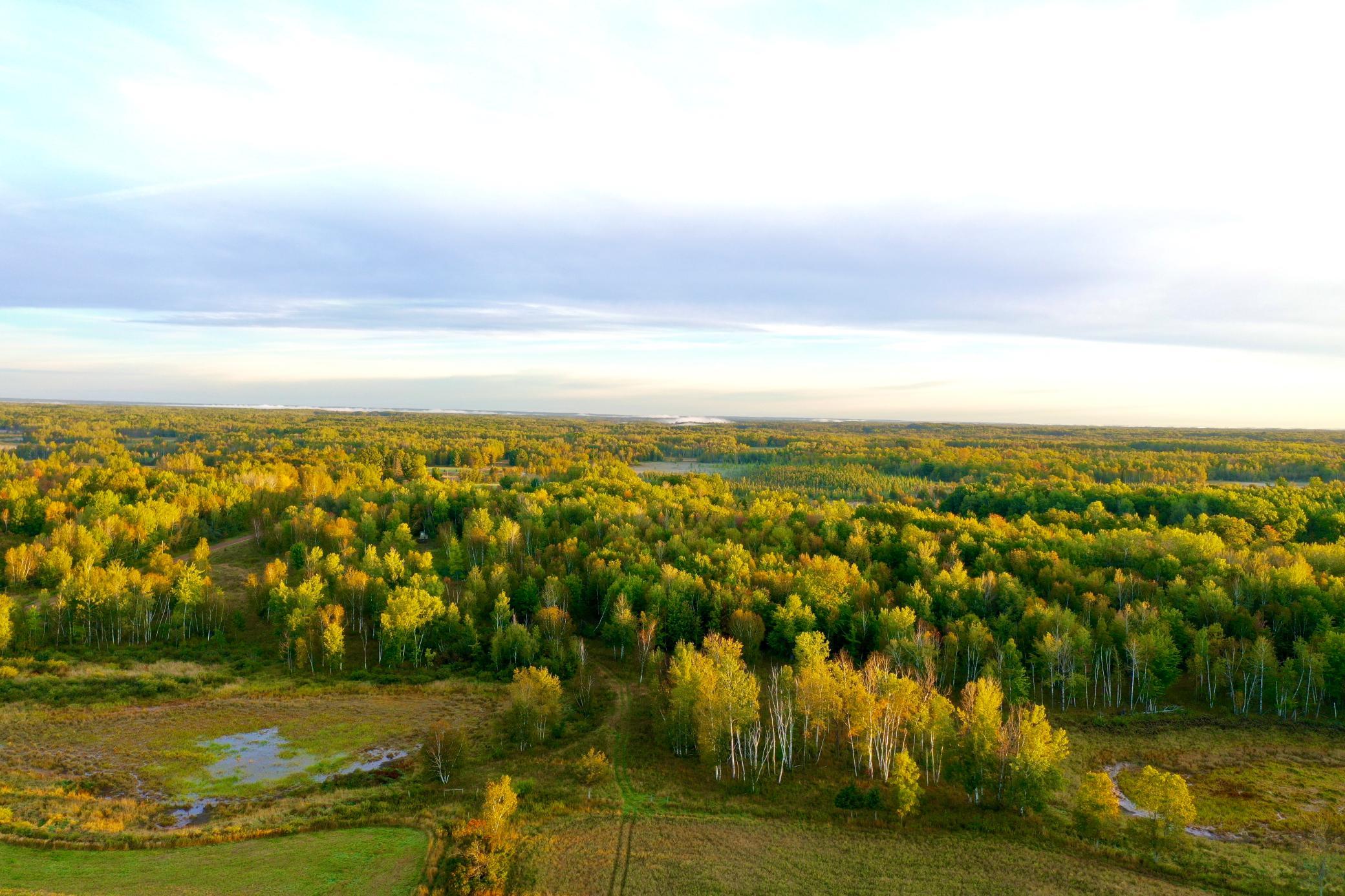 View of Land at NA Dove Rd, Hinckley MN 55037, Hinckley (3 of 43) - Mike Wilen | Minnesota Team Real Estate