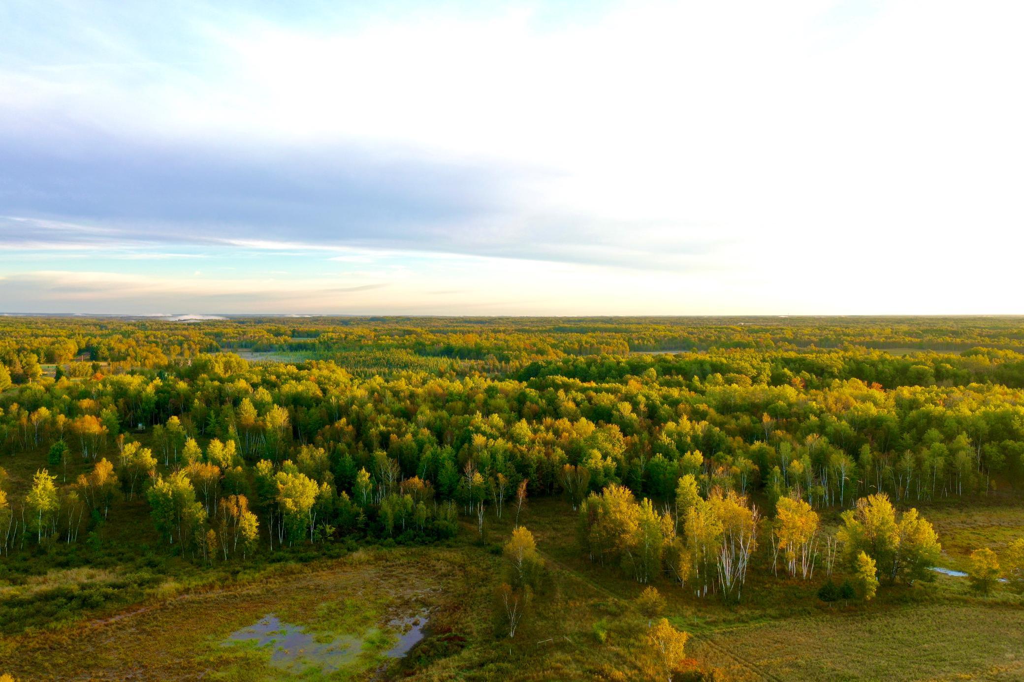View of Land at NA Dove Rd, Hinckley MN 55037, Hinckley (2 of 43) - Mike Wilen | Minnesota Team Real Estate