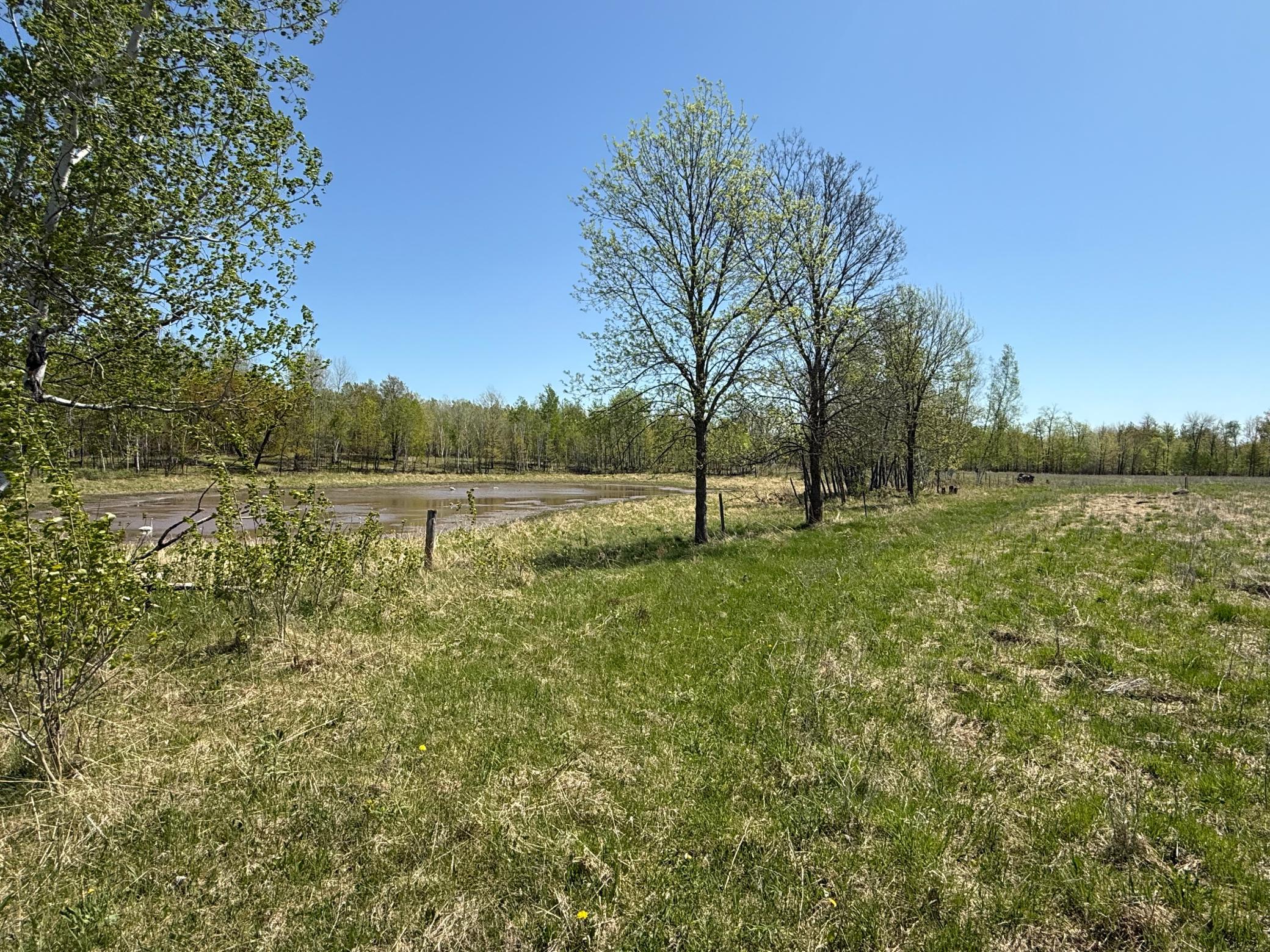 View of Land at NA Dove Rd, Hinckley MN 55037, Hinckley (33 of 43) - Mike Wilen | Minnesota Team Real Estate