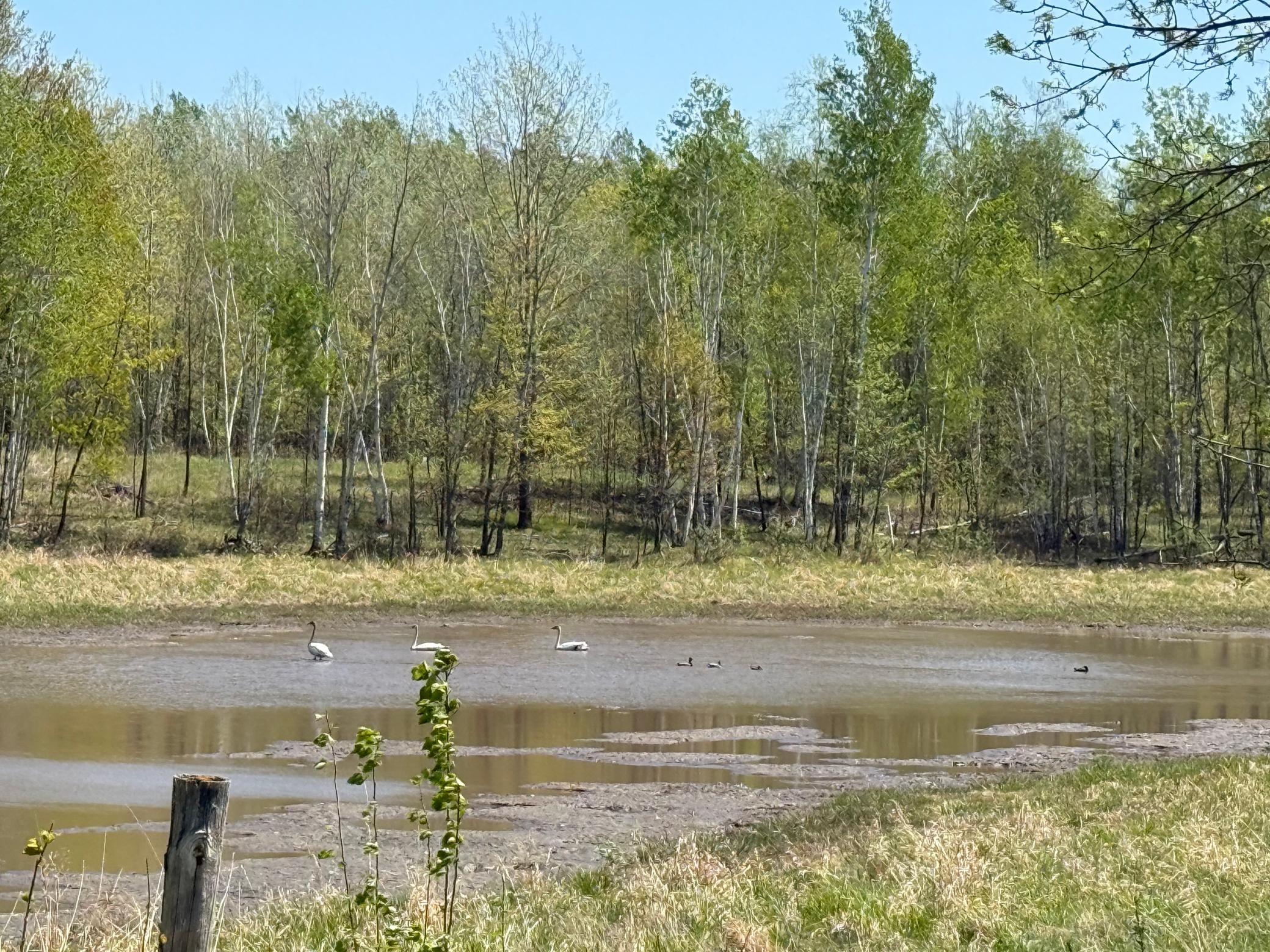 View of Land at NA Dove Rd, Hinckley MN 55037, Hinckley (32 of 43) - Mike Wilen | Minnesota Team Real Estate