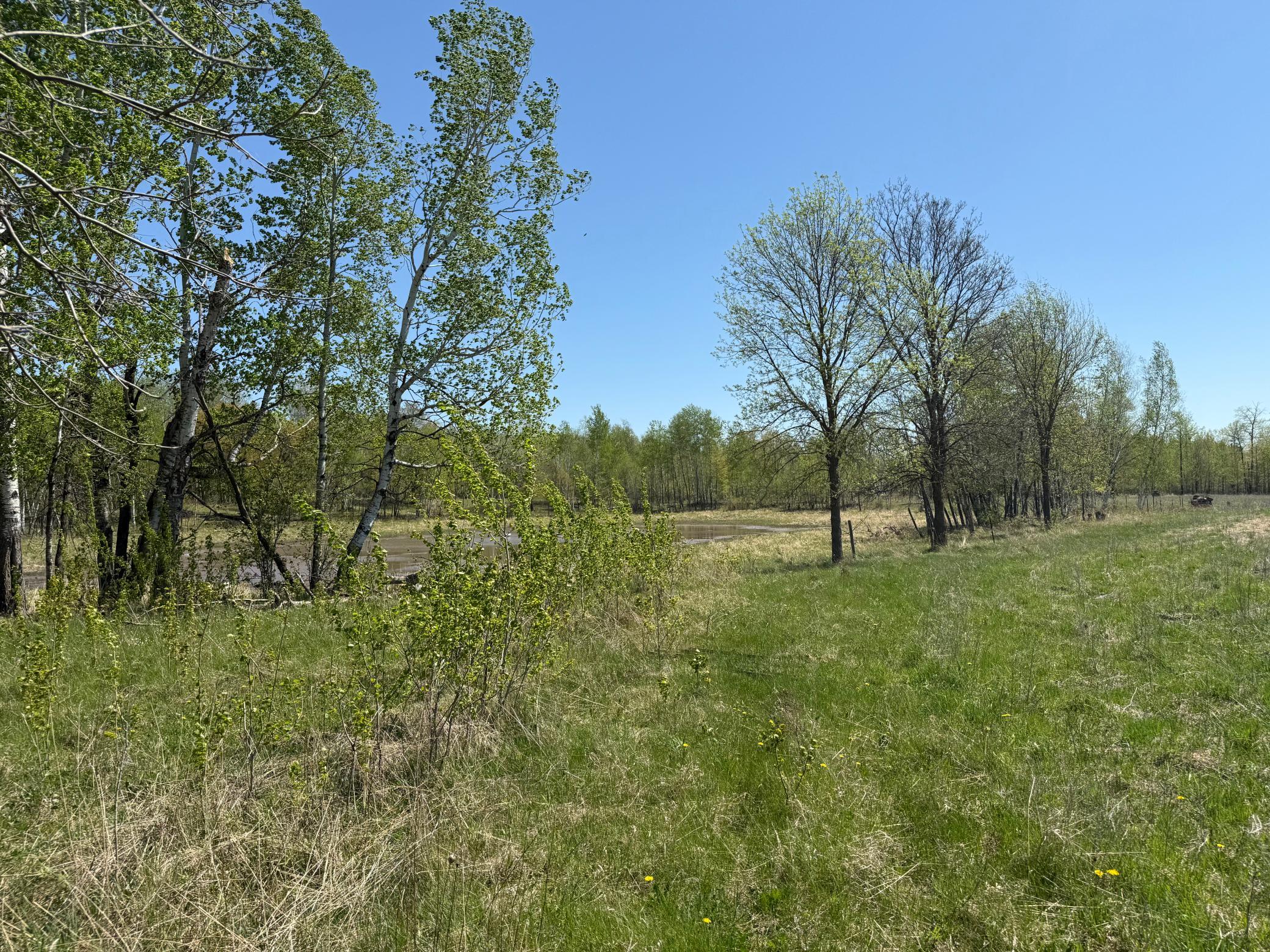 View of Land at NA Dove Rd, Hinckley MN 55037, Hinckley (31 of 43) - Mike Wilen | Minnesota Team Real Estate