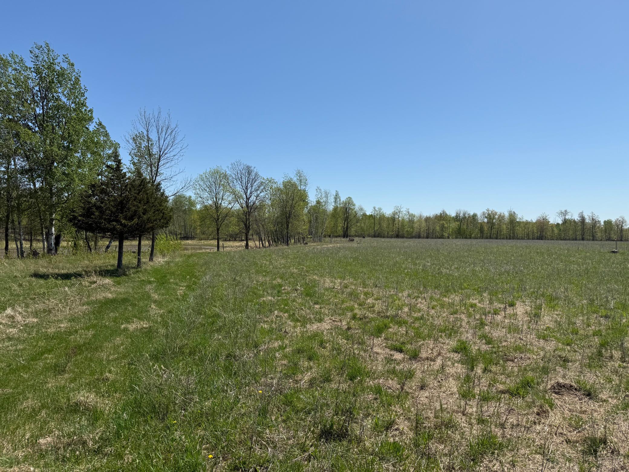 View of Land at NA Dove Rd, Hinckley MN 55037, Hinckley (30 of 43) - Mike Wilen | Minnesota Team Real Estate
