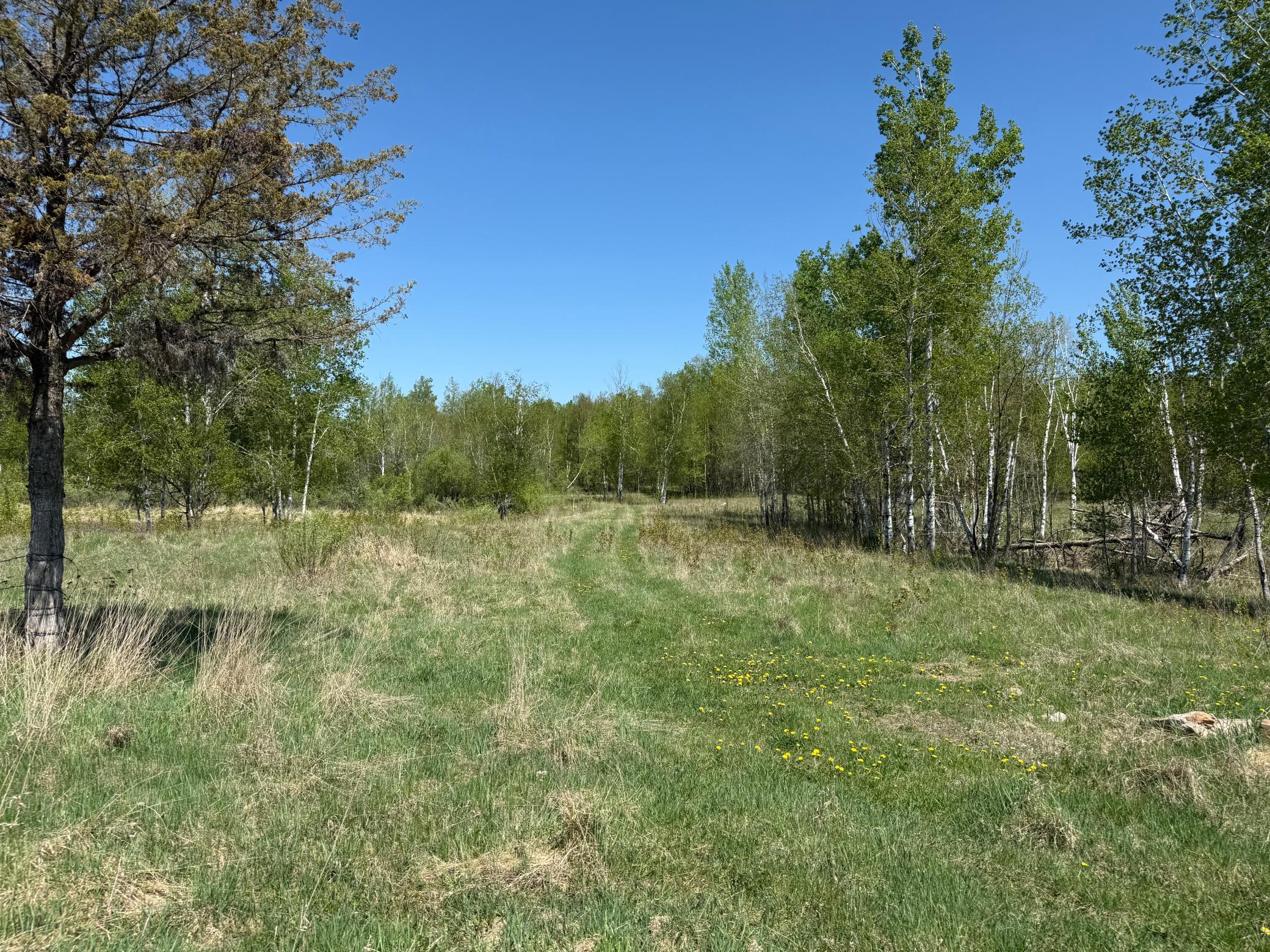 View of Land at NA Dove Rd, Hinckley MN 55037, Hinckley (28 of 43) - Mike Wilen | Minnesota Team Real Estate
