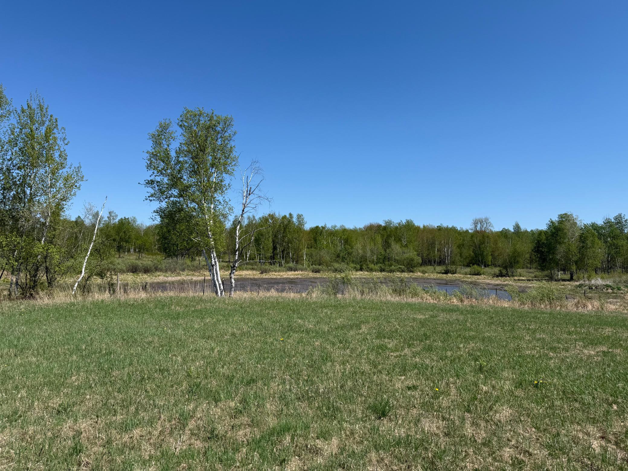 View of Land at NA Dove Rd, Hinckley MN 55037, Hinckley (24 of 43) - Mike Wilen | Minnesota Team Real Estate