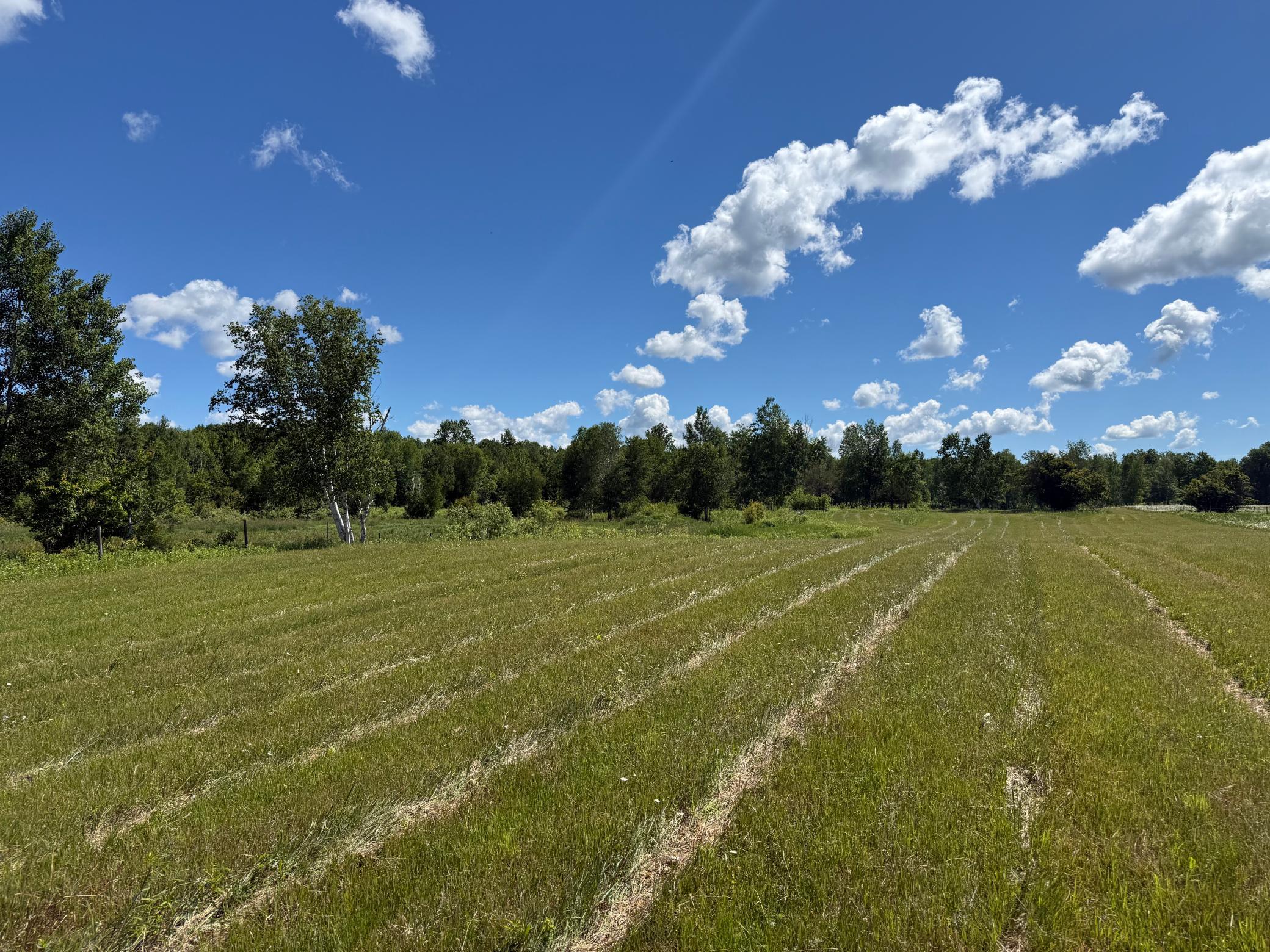 View of Land at NA Dove Rd, Hinckley MN 55037, Hinckley (40 of 43) - Mike Wilen | Minnesota Team Real Estate