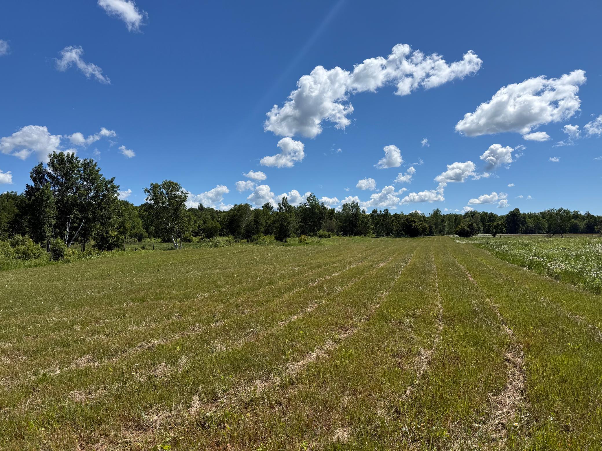 View of Land at NA Dove Rd, Hinckley MN 55037, Hinckley (37 of 43) - Mike Wilen | Minnesota Team Real Estate